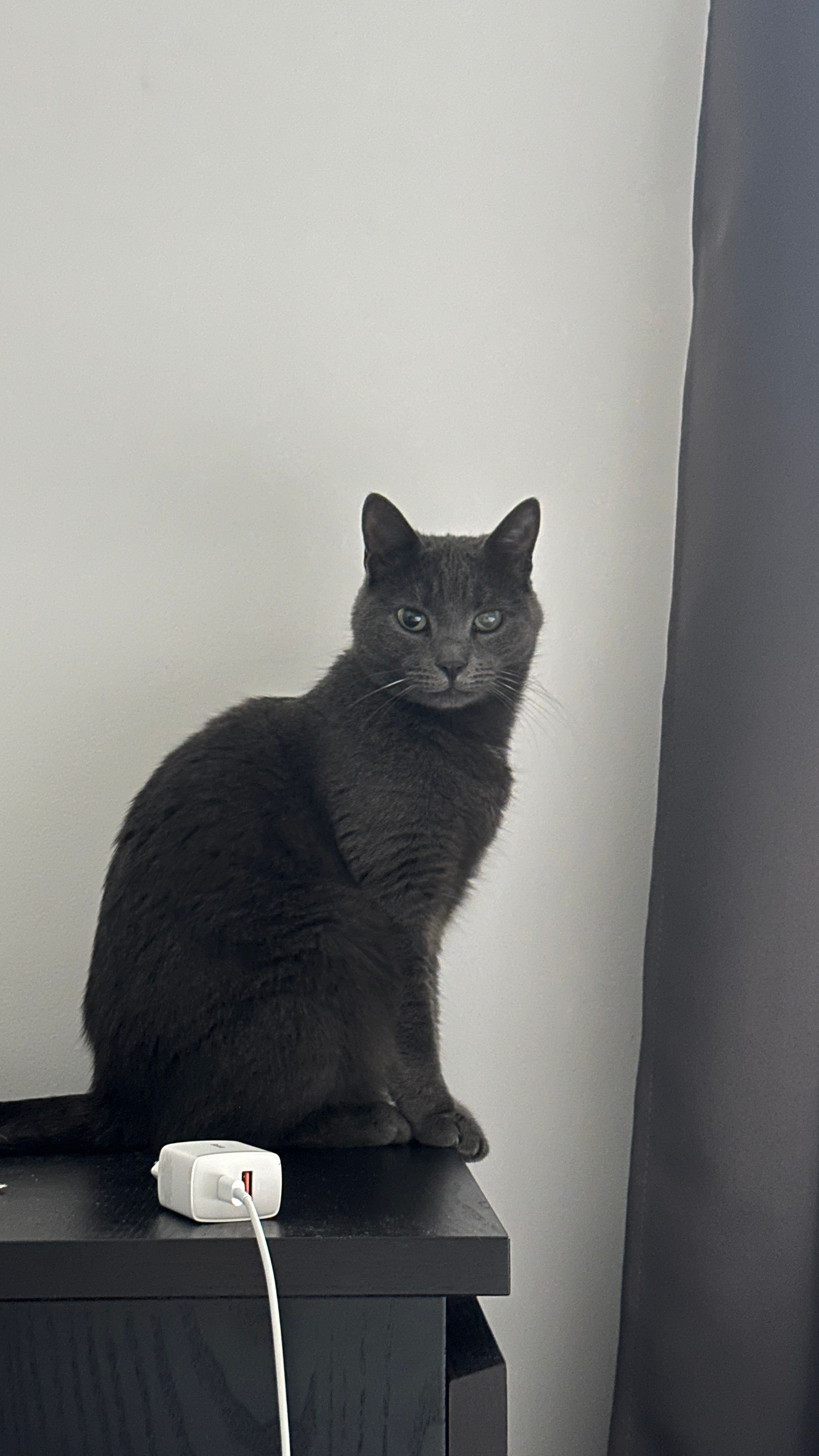 Motya - Breiter Weg, Aurich