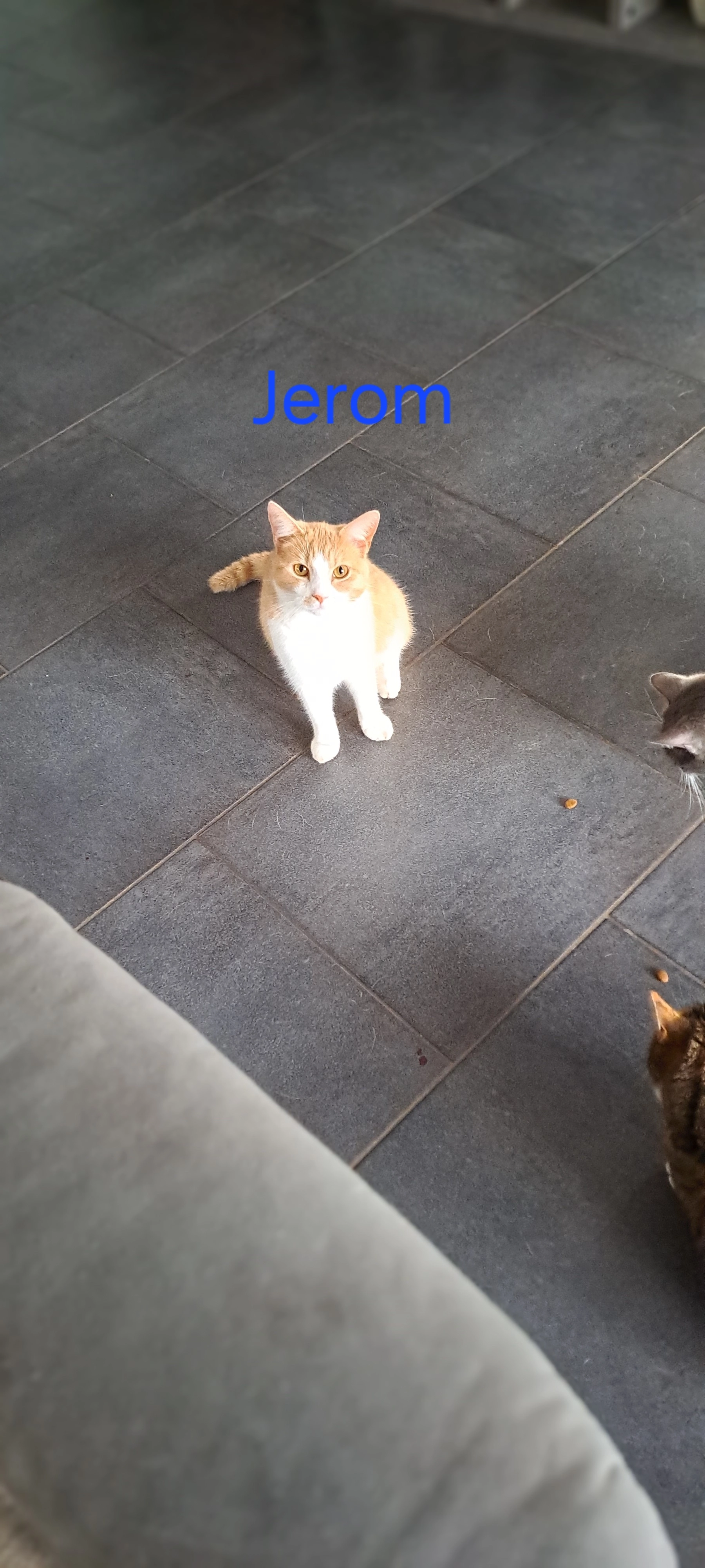 JEROM - Warftenstraße, Loxstedt