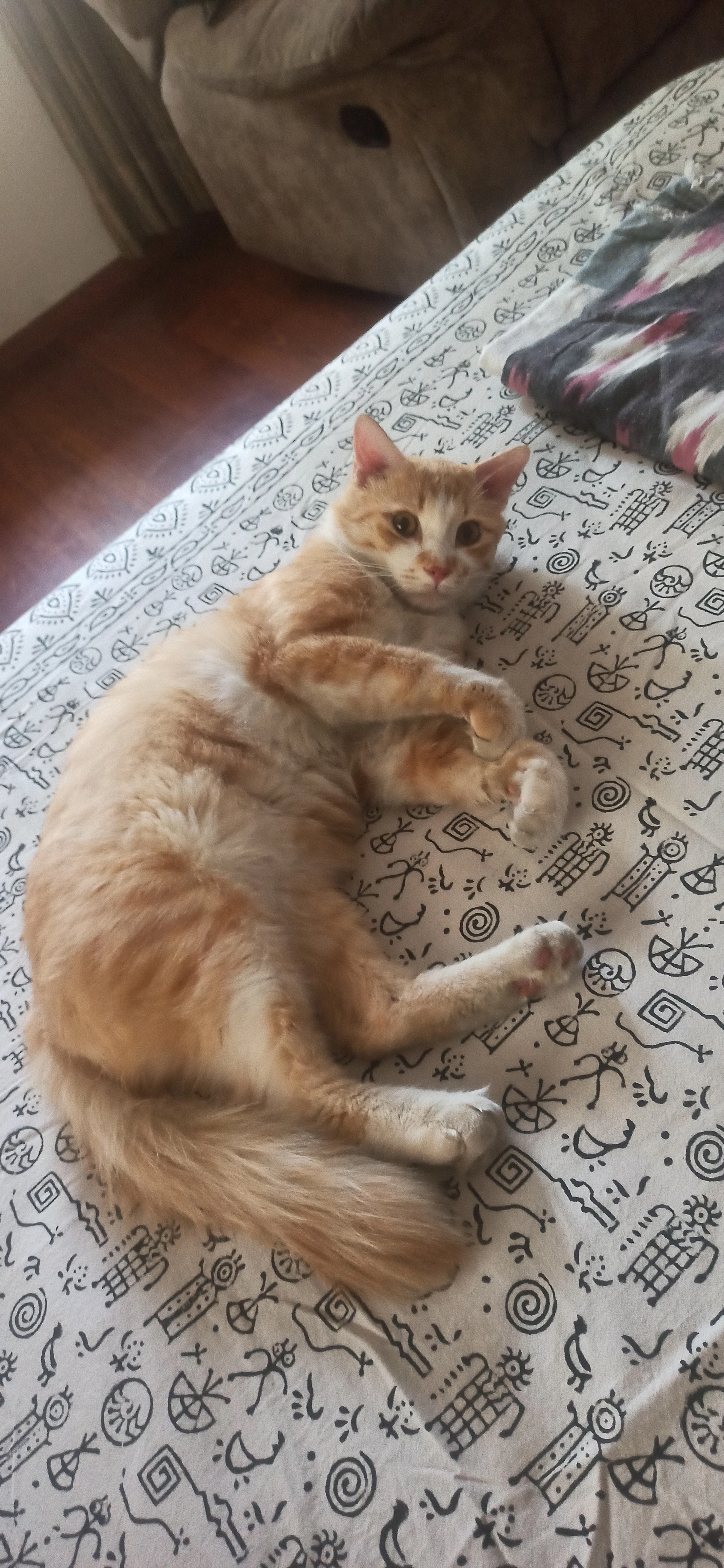 Shaan - 9th A Cross Road, Bengaluru