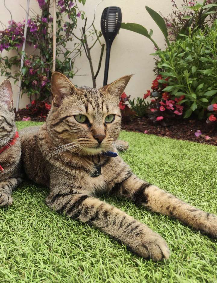 Otis - 1 Avenue du Maréchal Leclerc, Châteauneuf-les-Martigues