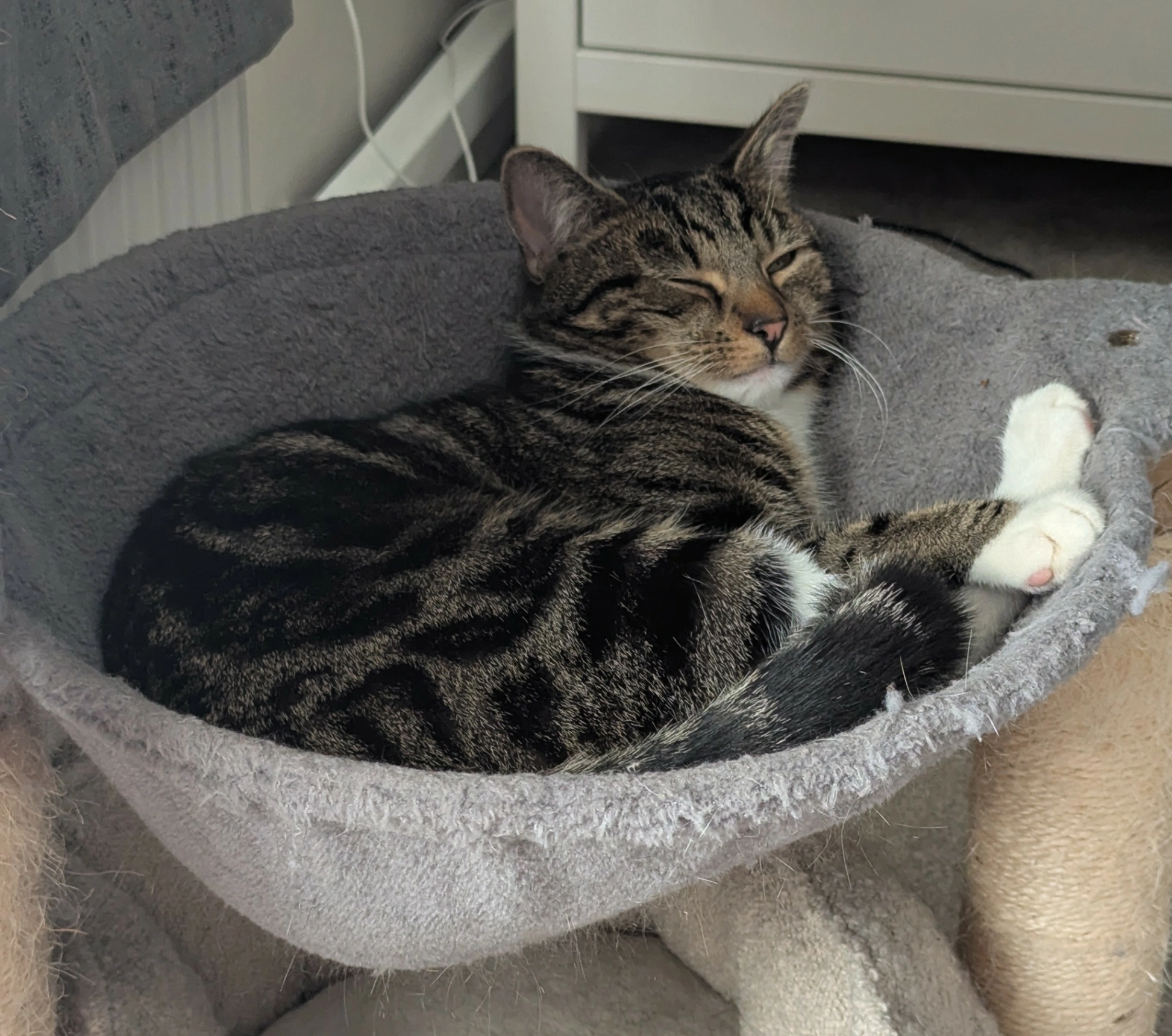 Herschel - College Piece, Reading