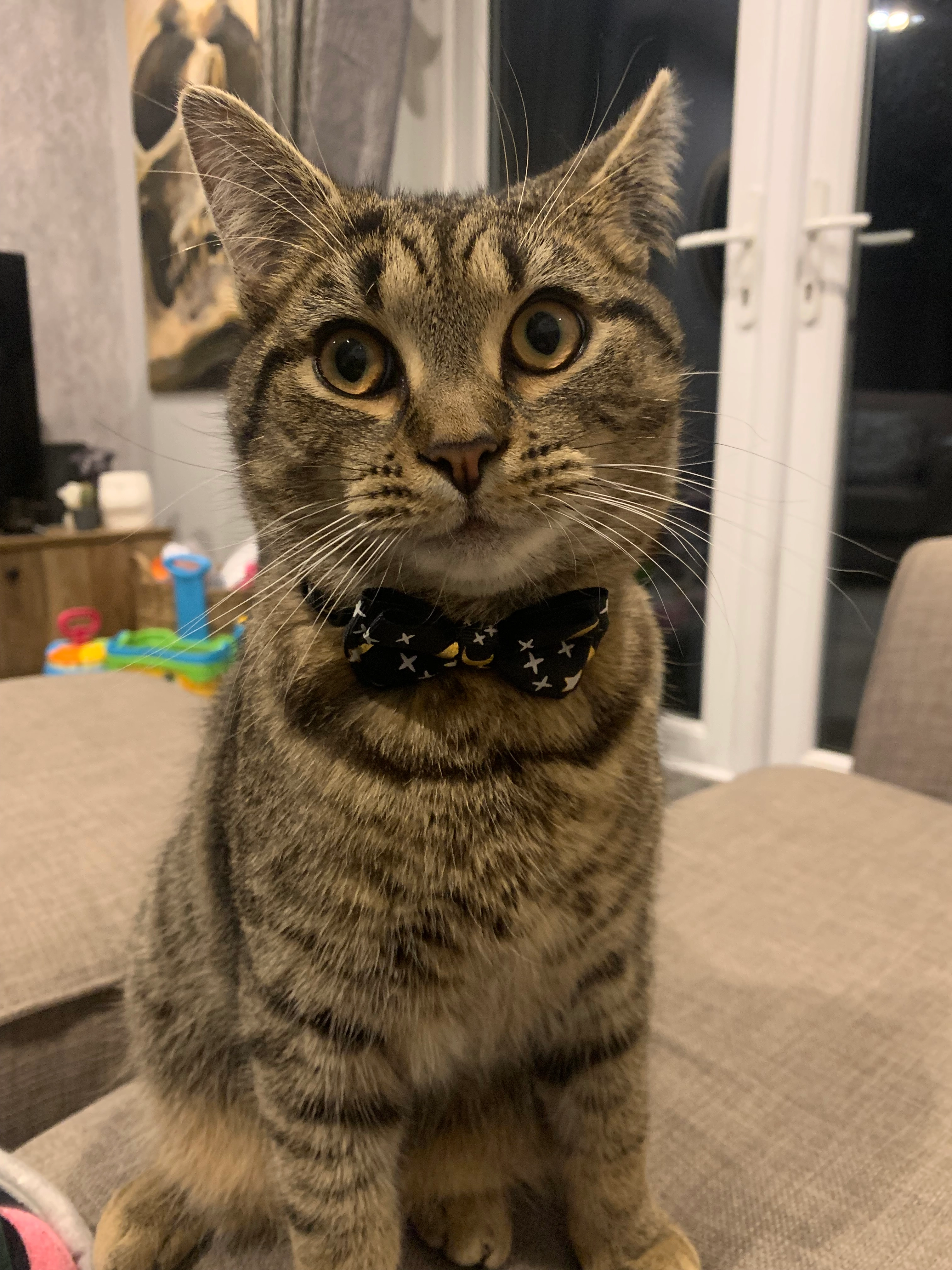 Eric - Cowick Lane, Exeter