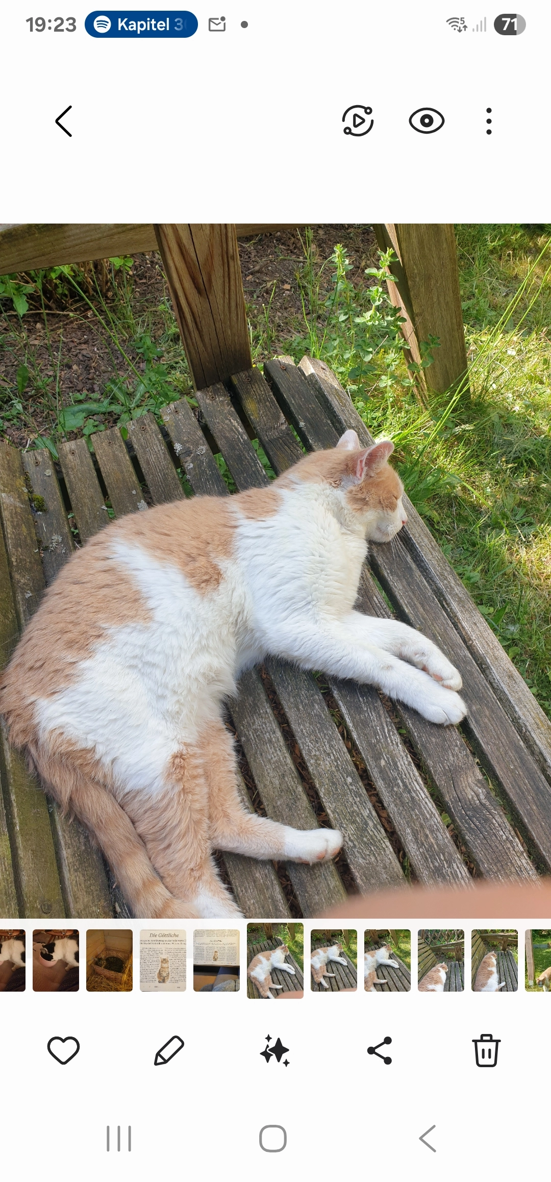 Schnucki - Gablonzer Ring, Kaufbeuren