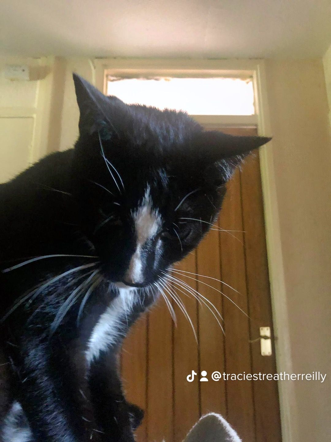 Pickle - Archway Road, Leicester