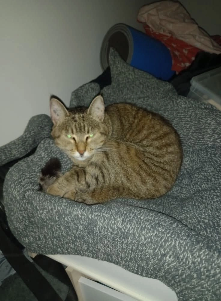 Nounette  - 71190, Mesvres