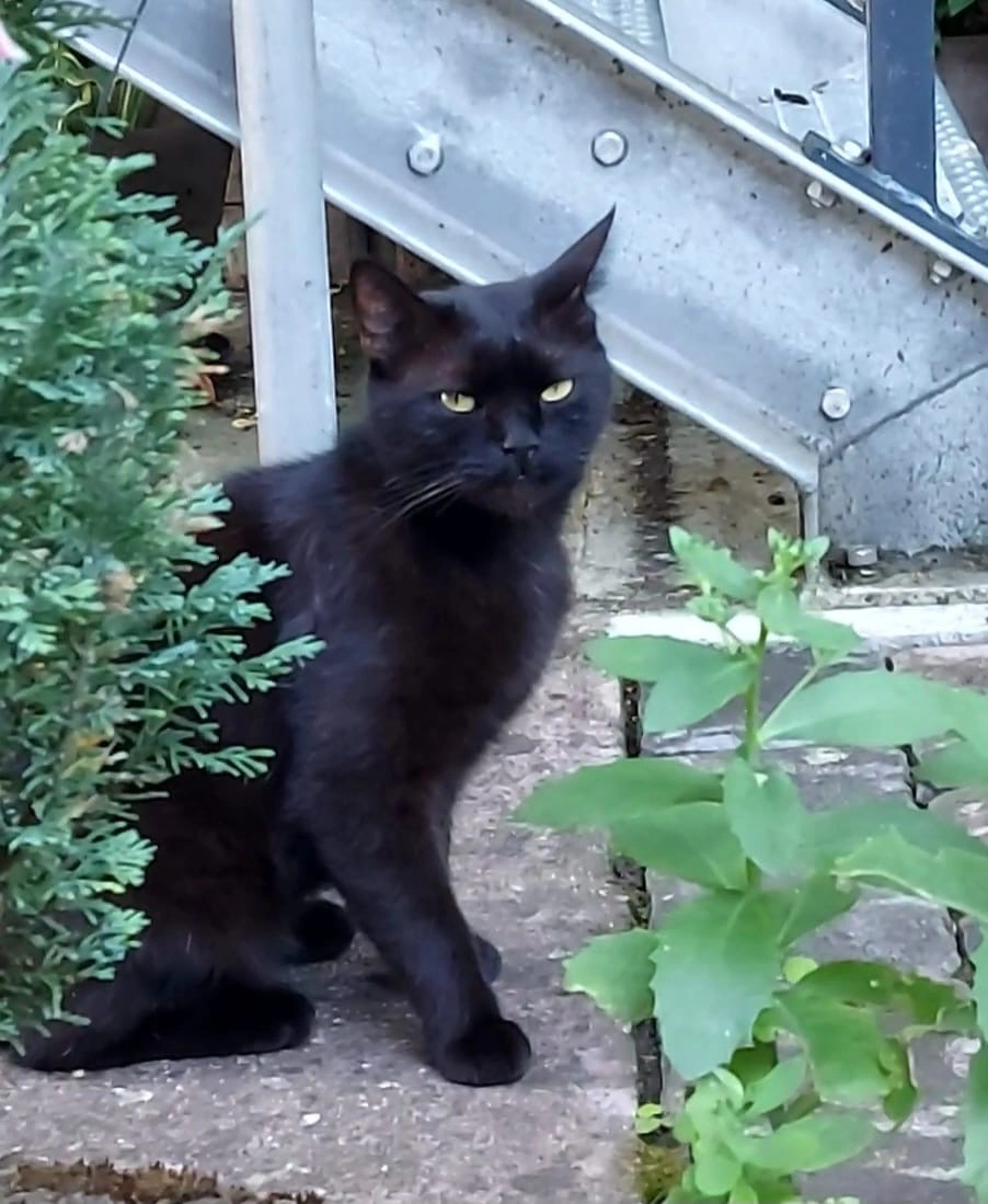 Unbekannt - 55288, Spiesheim