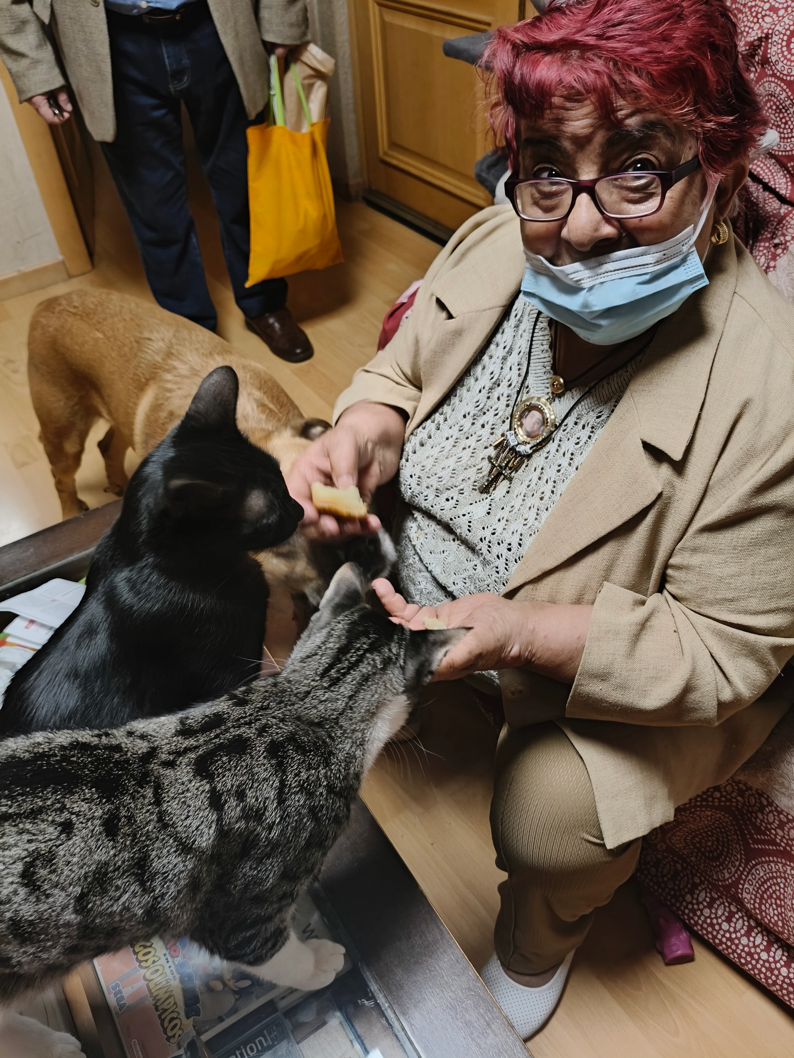 Shully - Calle Del Conde De La Viñaza, Zaragoza