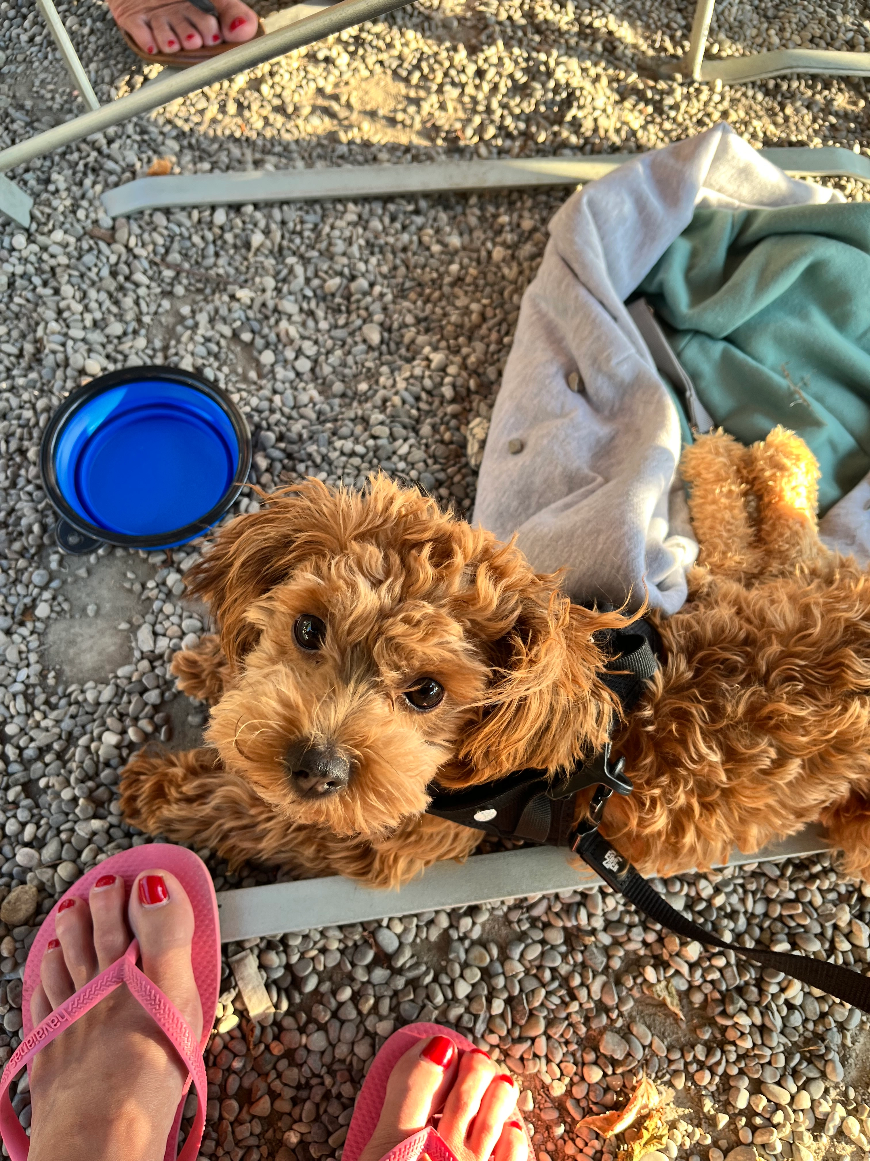 tuna - Nackerstrasse, Rüdlingen