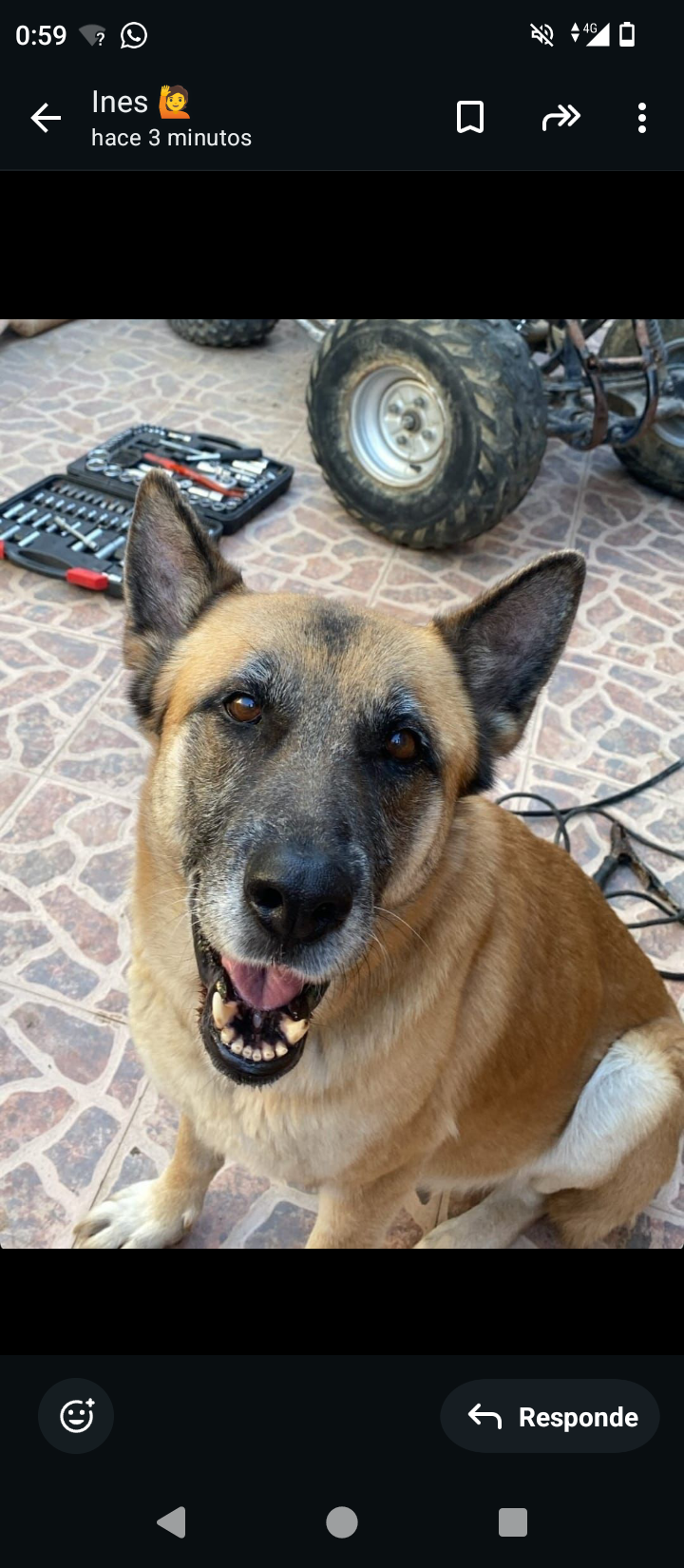 India - Pl Numero 13, Ontinyent