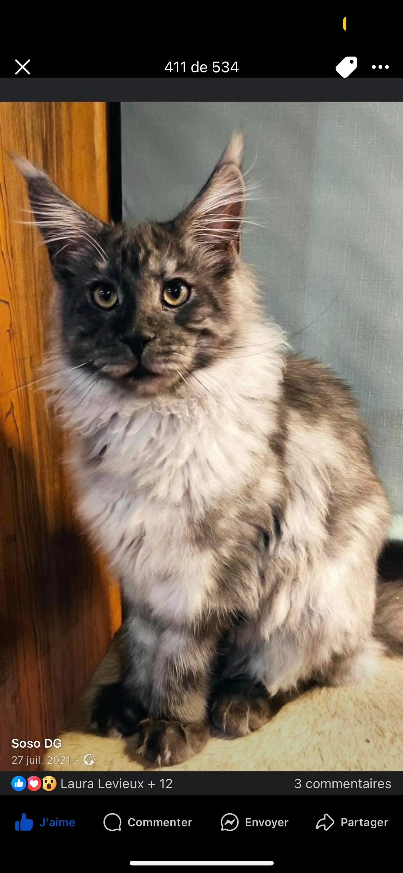 Cesar - Rue de Briquemare, Heuqueville