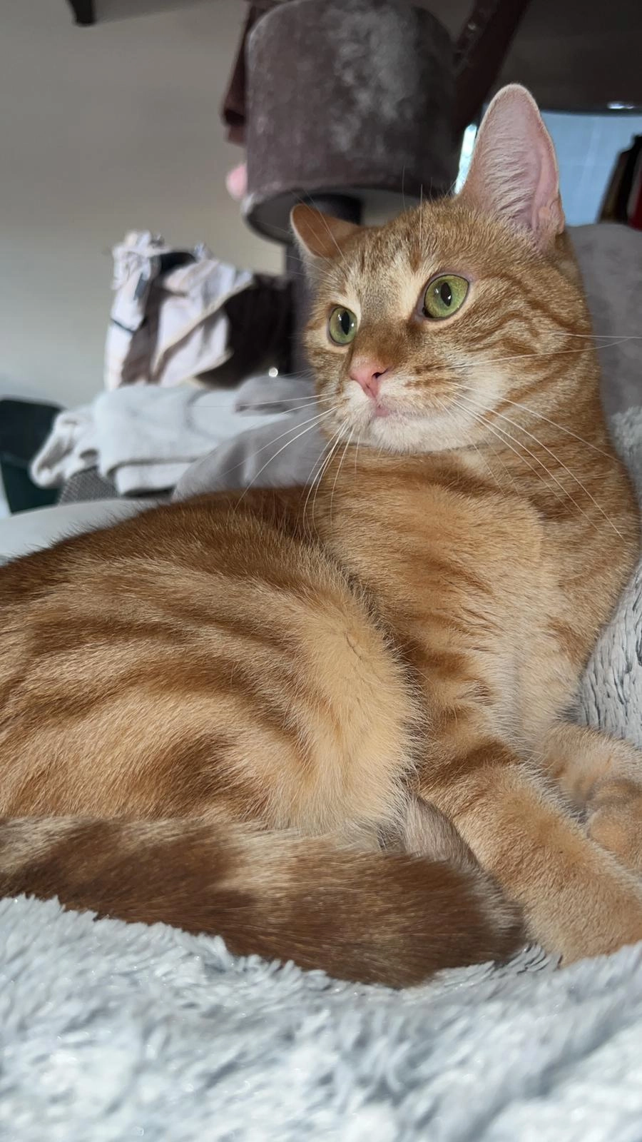 Rolex  - Steinbrinkstraße, Oberhausen