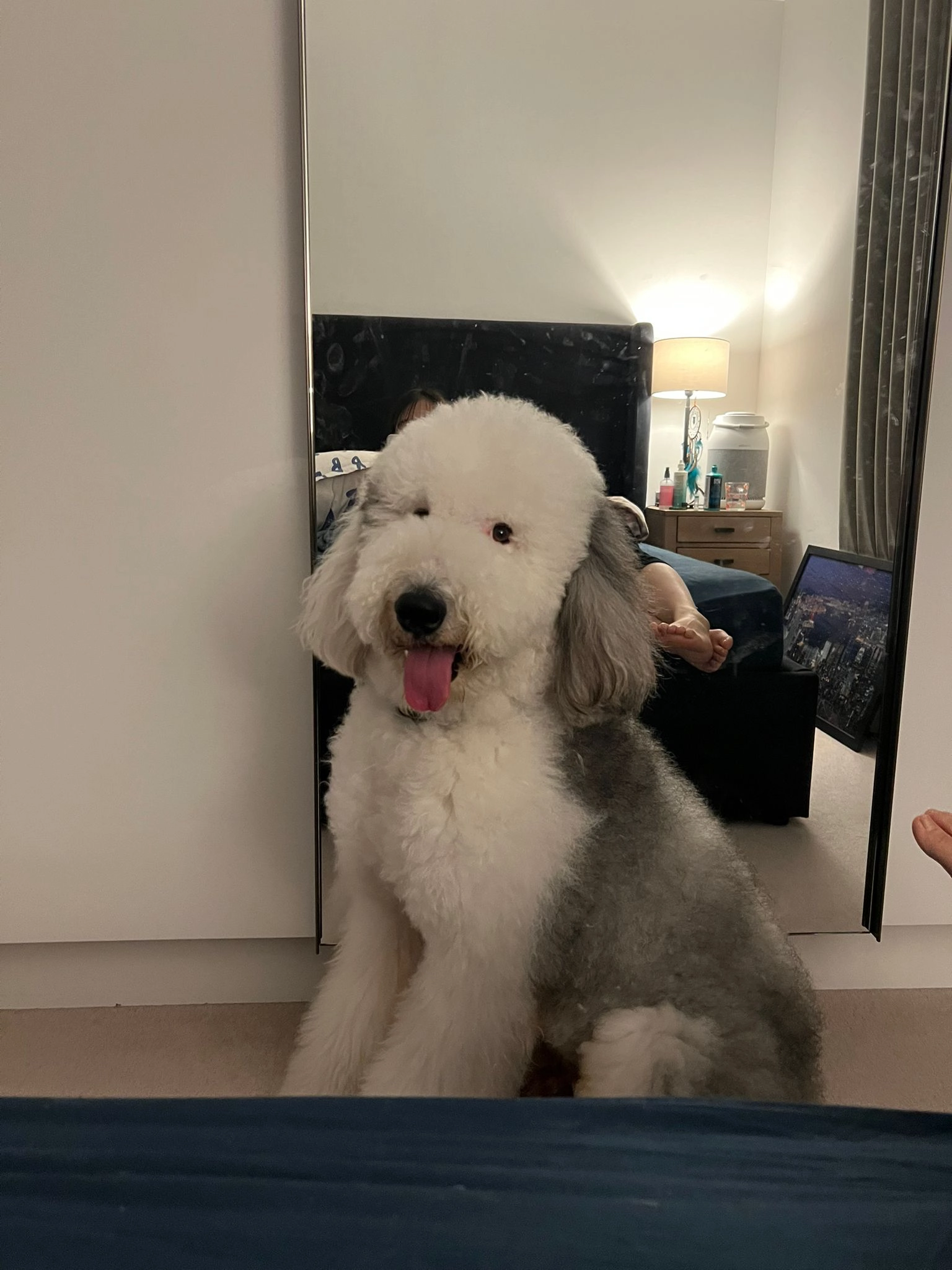 Snoopy - SW10 1, London