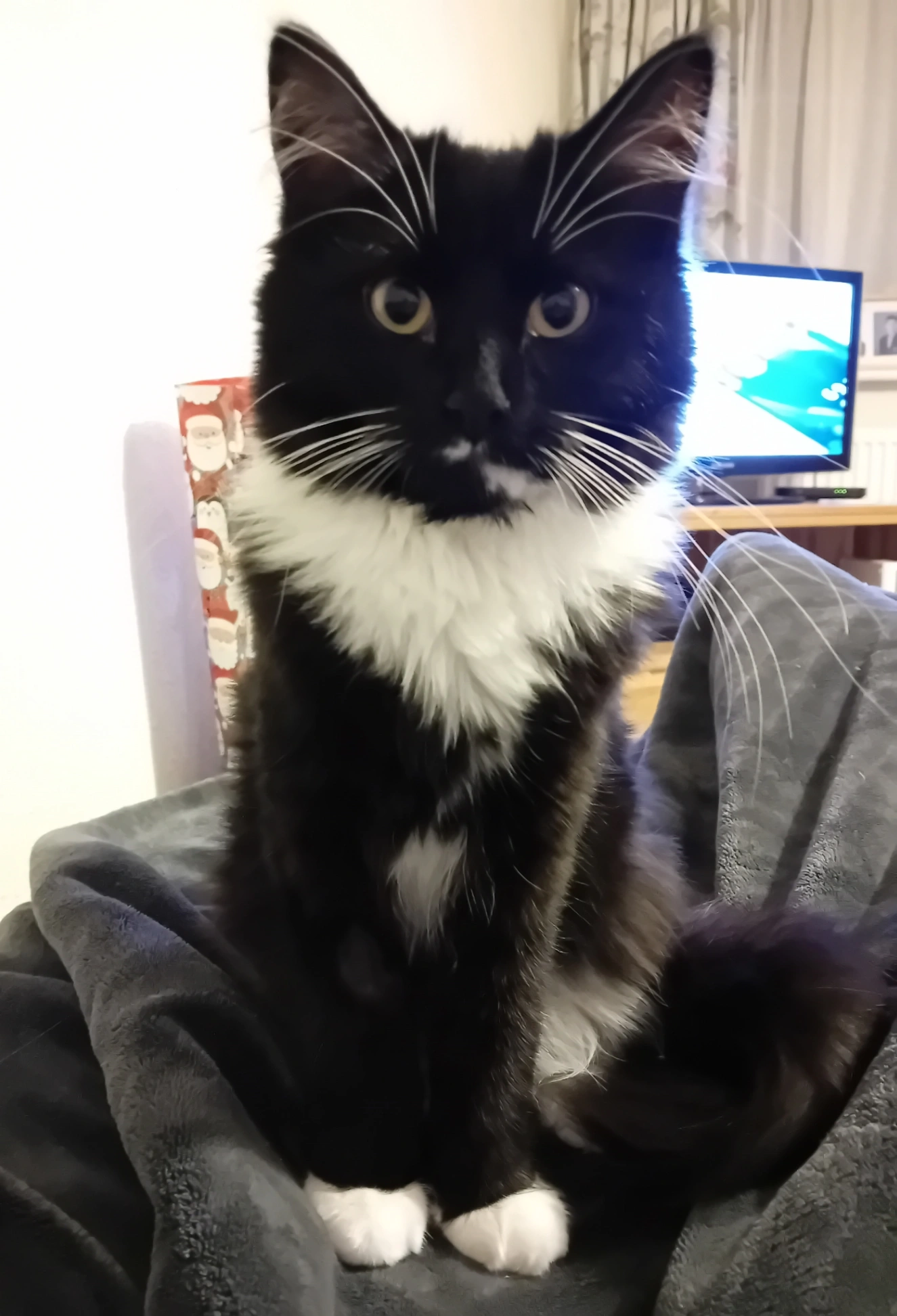 Luna - Waterside Close, Gloucester