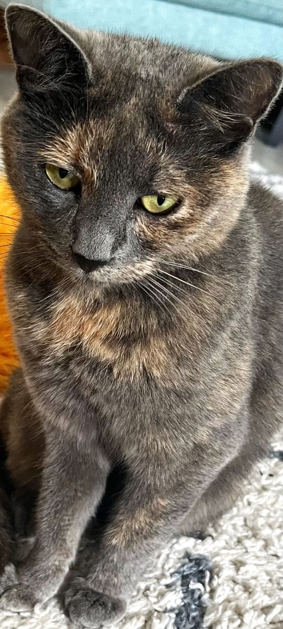 Awesome - Penzberger Straße 10, Bichl