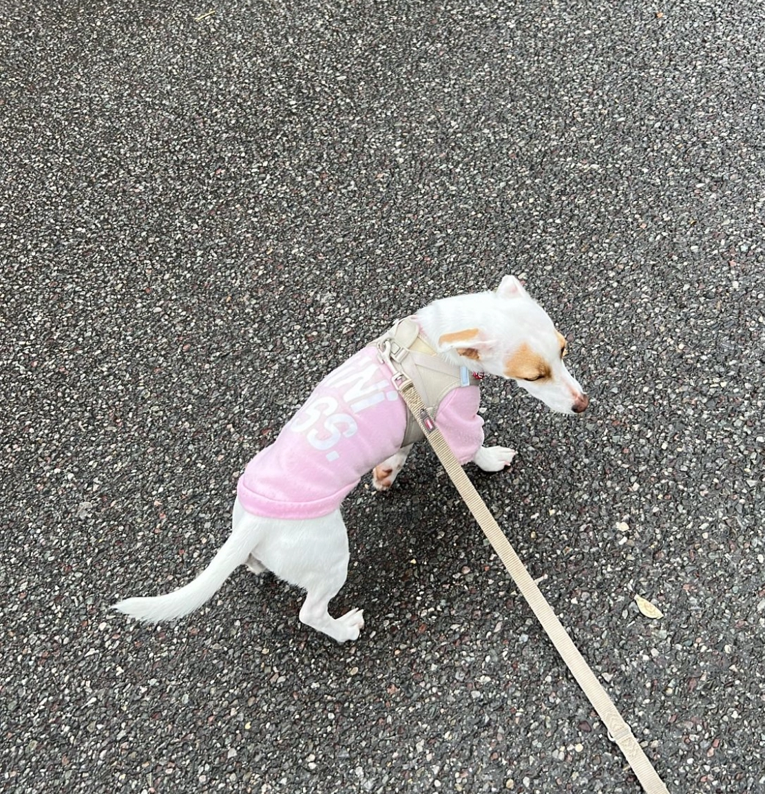 Luna  - Rue de la Tannerie, La Sarraz