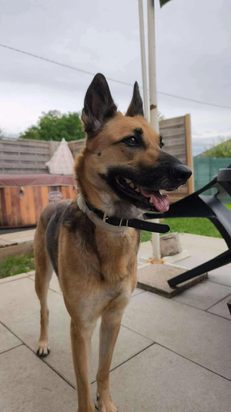 Roxy - Rue Des Noisetiers, Pierrefontaine-les-Varans