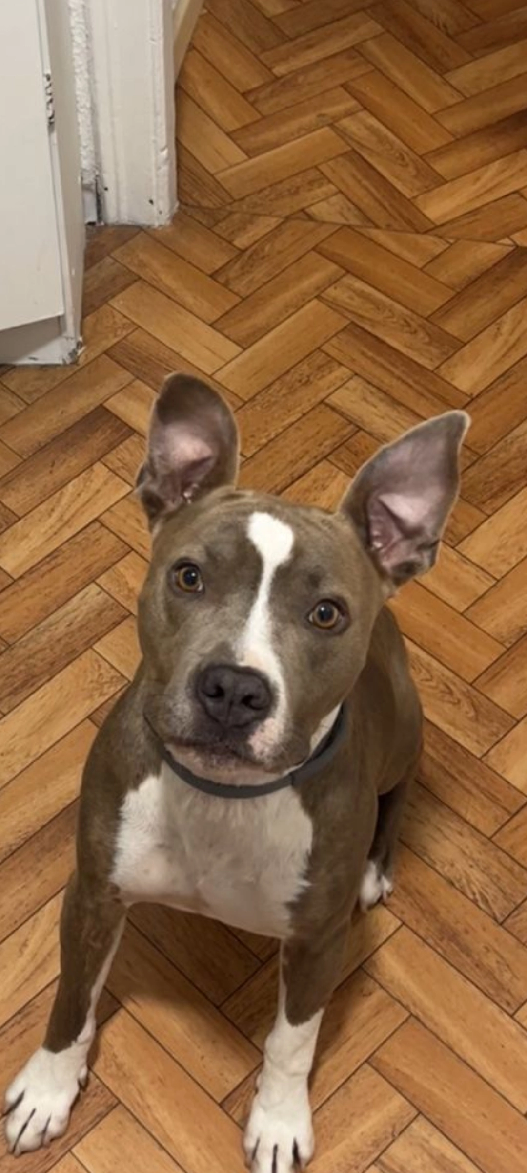 Smokey - Calle Ciudadela, Zaragoza