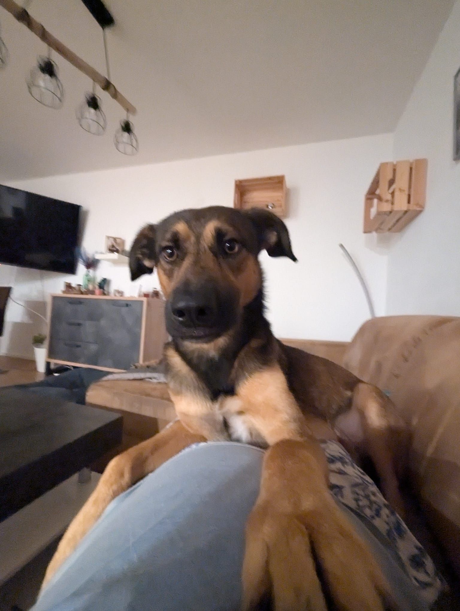 Yuri - Emertsham, Tacherting