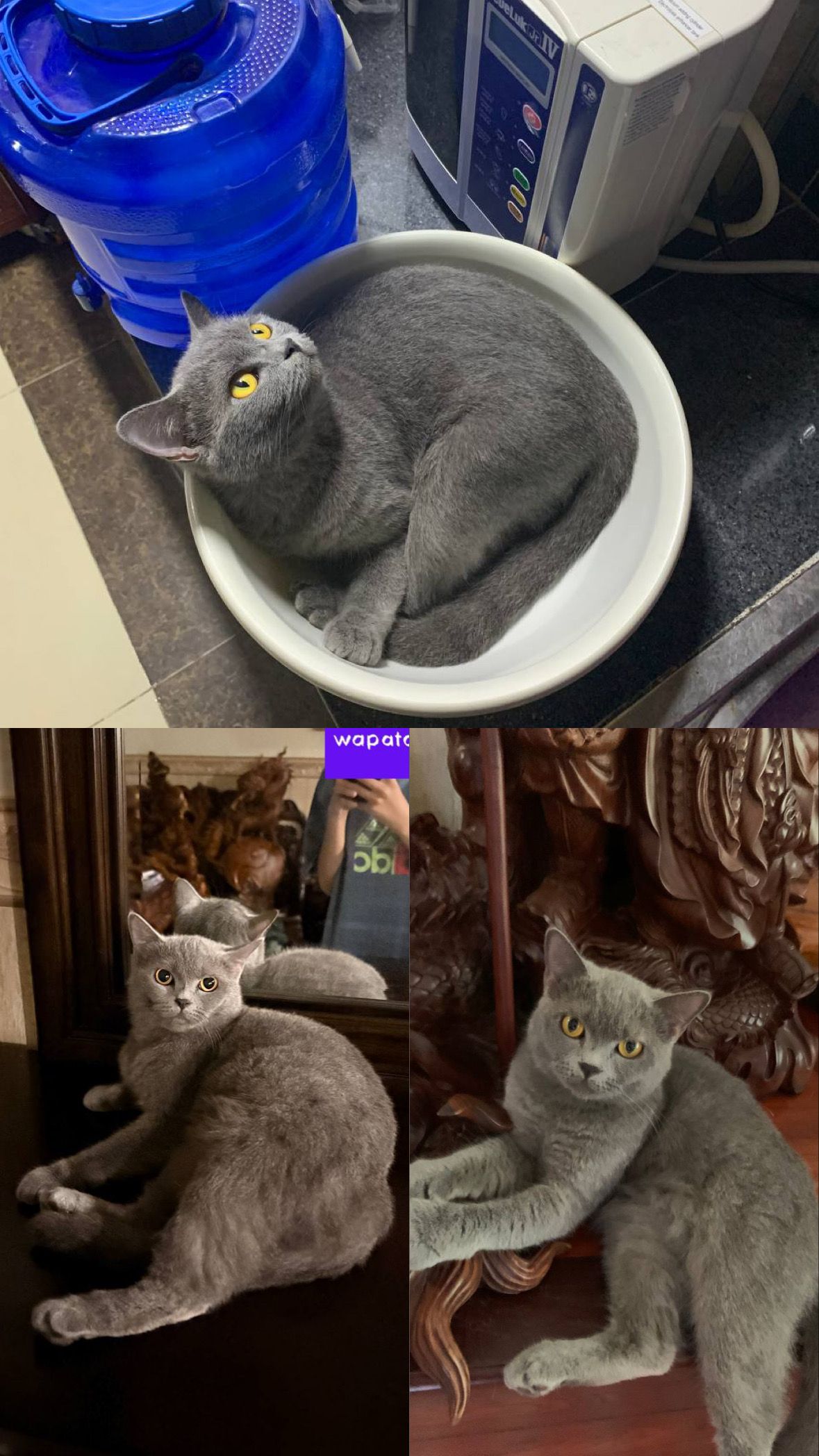 Mary - 120702, Phnom Penh