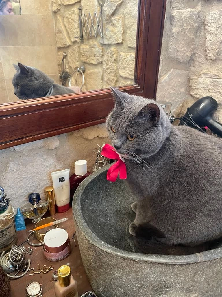 Loly mais plus familièrement mim - Rue Charles Grando, Elne