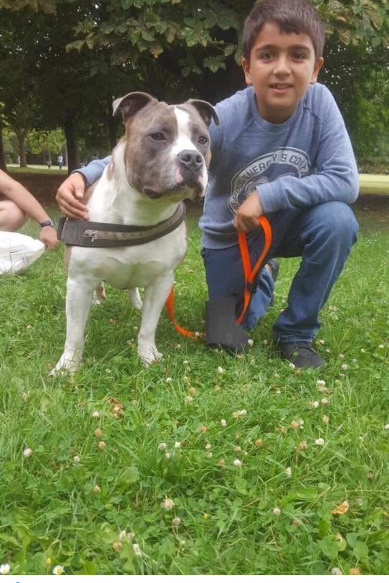 Capone - Chemin d'Ézanville à Belloy-en-France, Ézanville