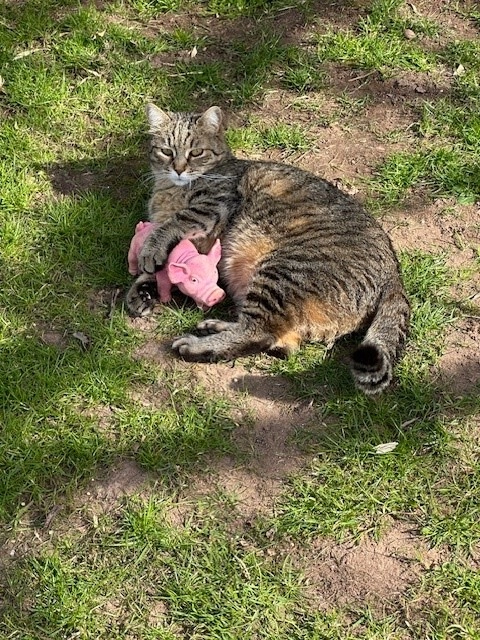 Emilio - Kappelbergsteig, Schwabach