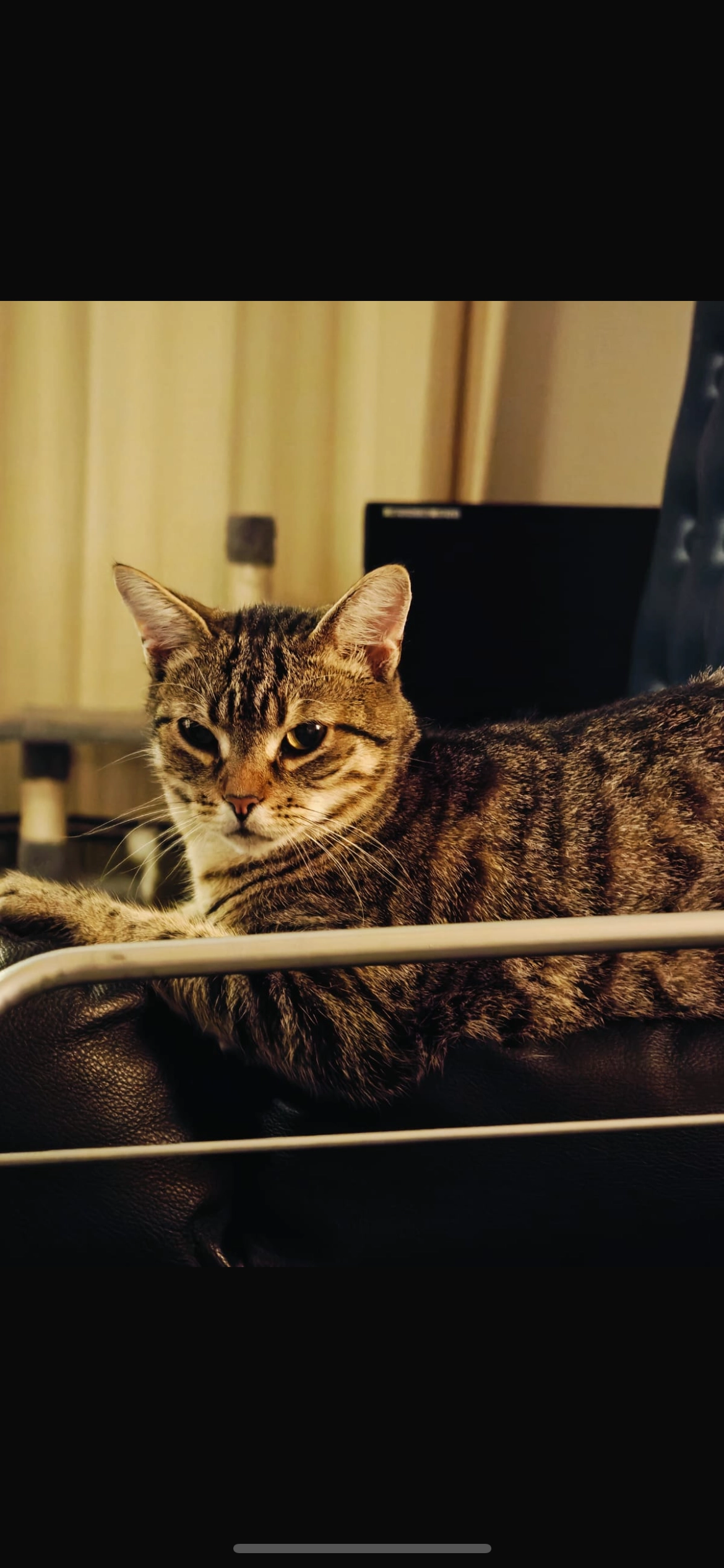 Kaya  - Sanderängsgatan, Sandviken