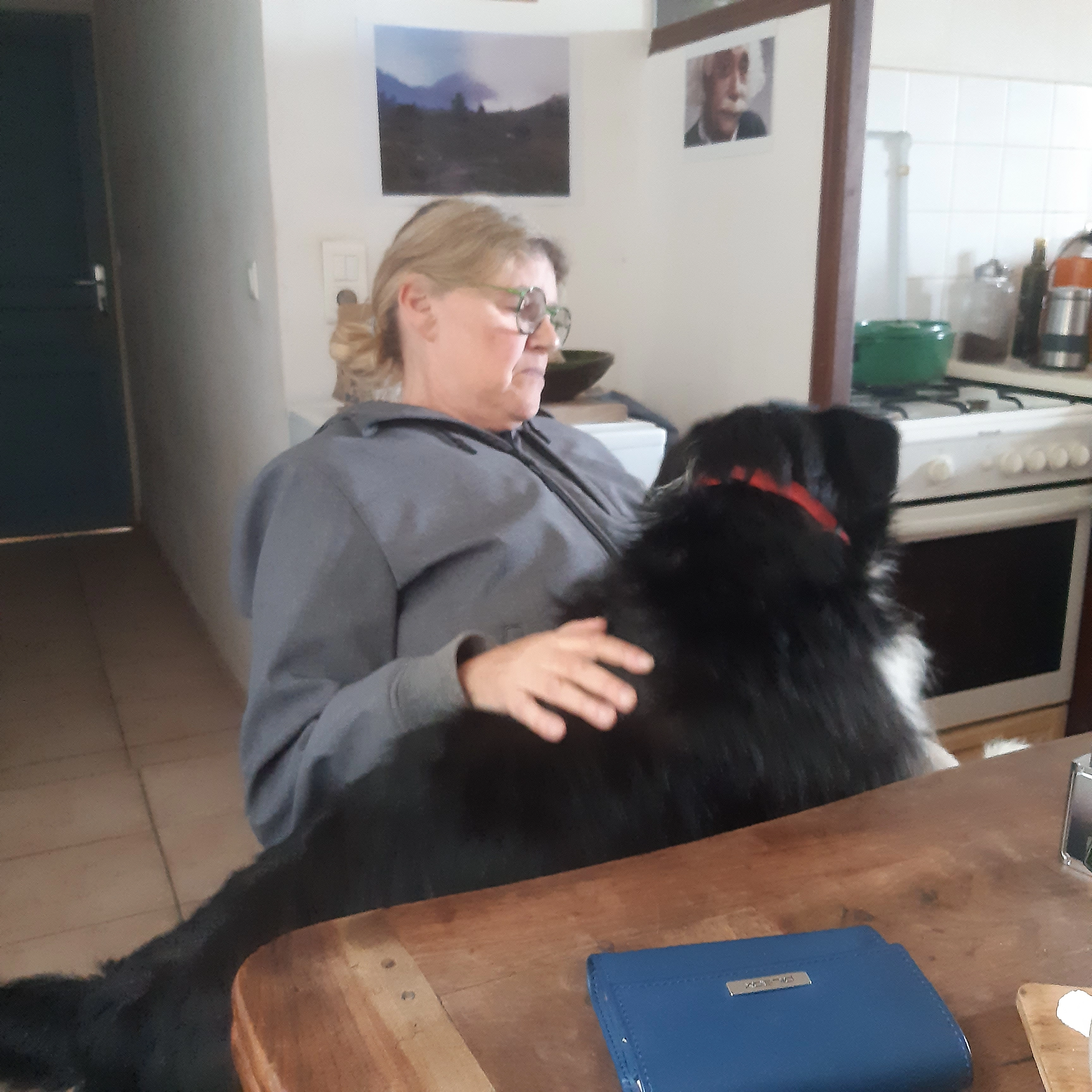 Pépito - Chemin de Chéran, Bex