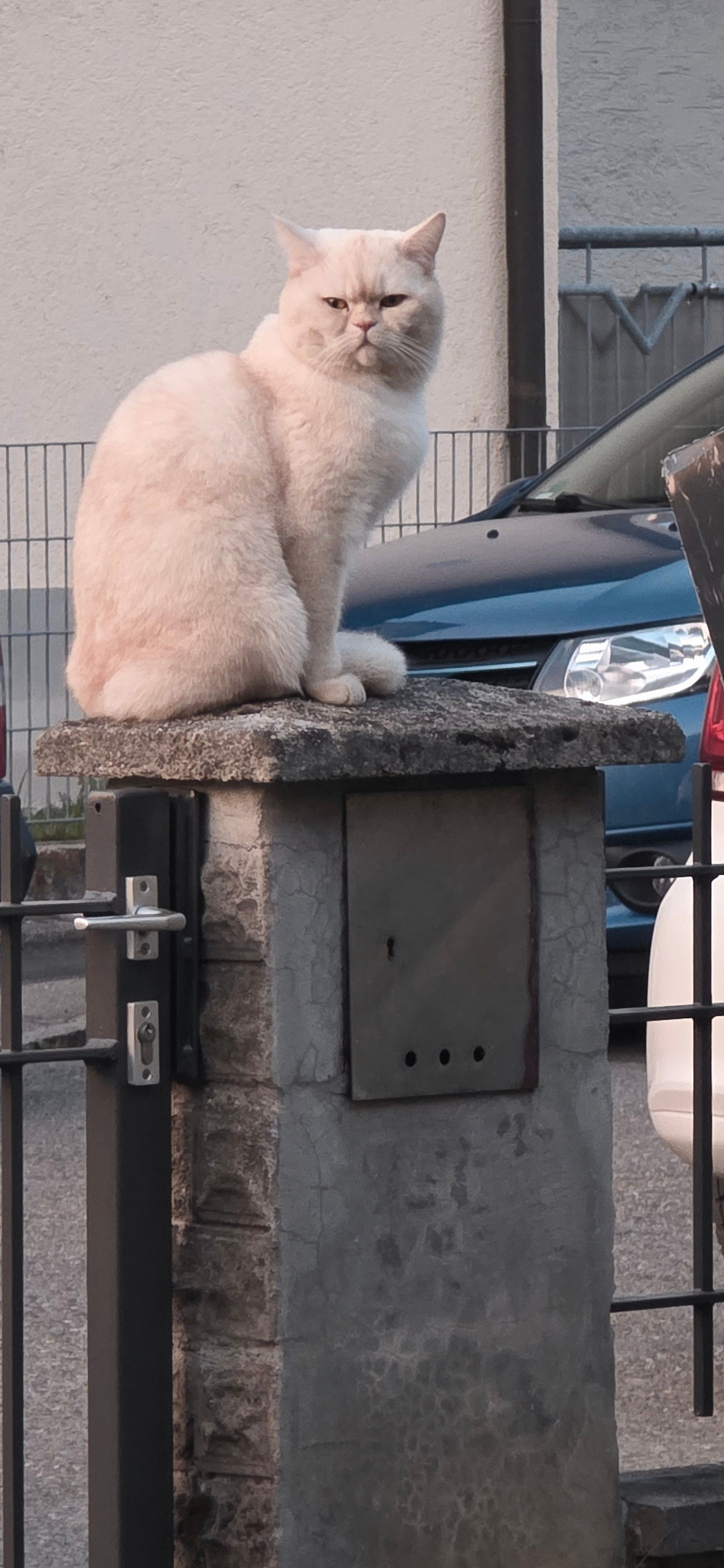 Bossi - Beskidenring, Neuburg an der Donau