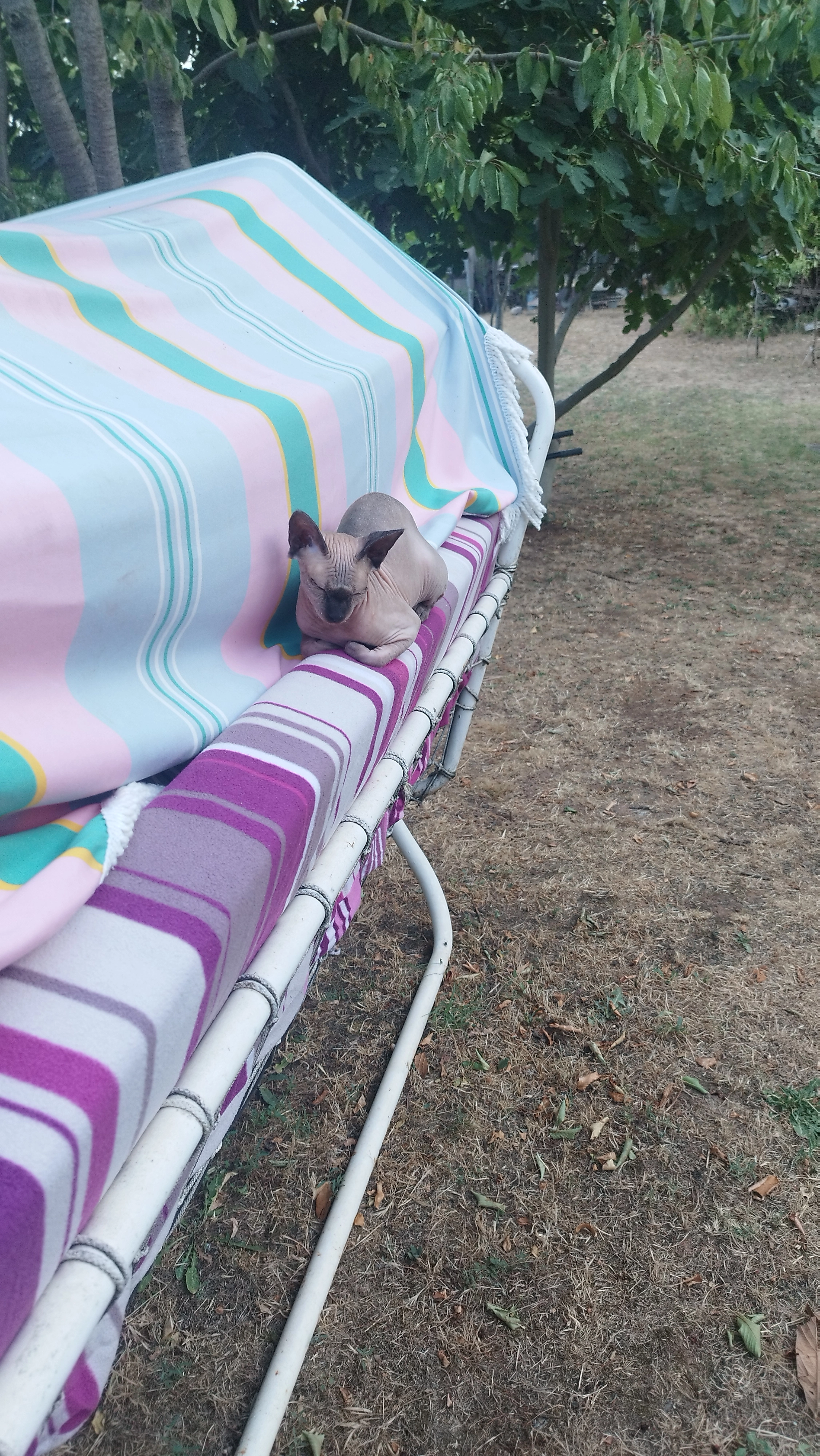 Vénus  - 618 Chemin des Garrigues, Gardanne