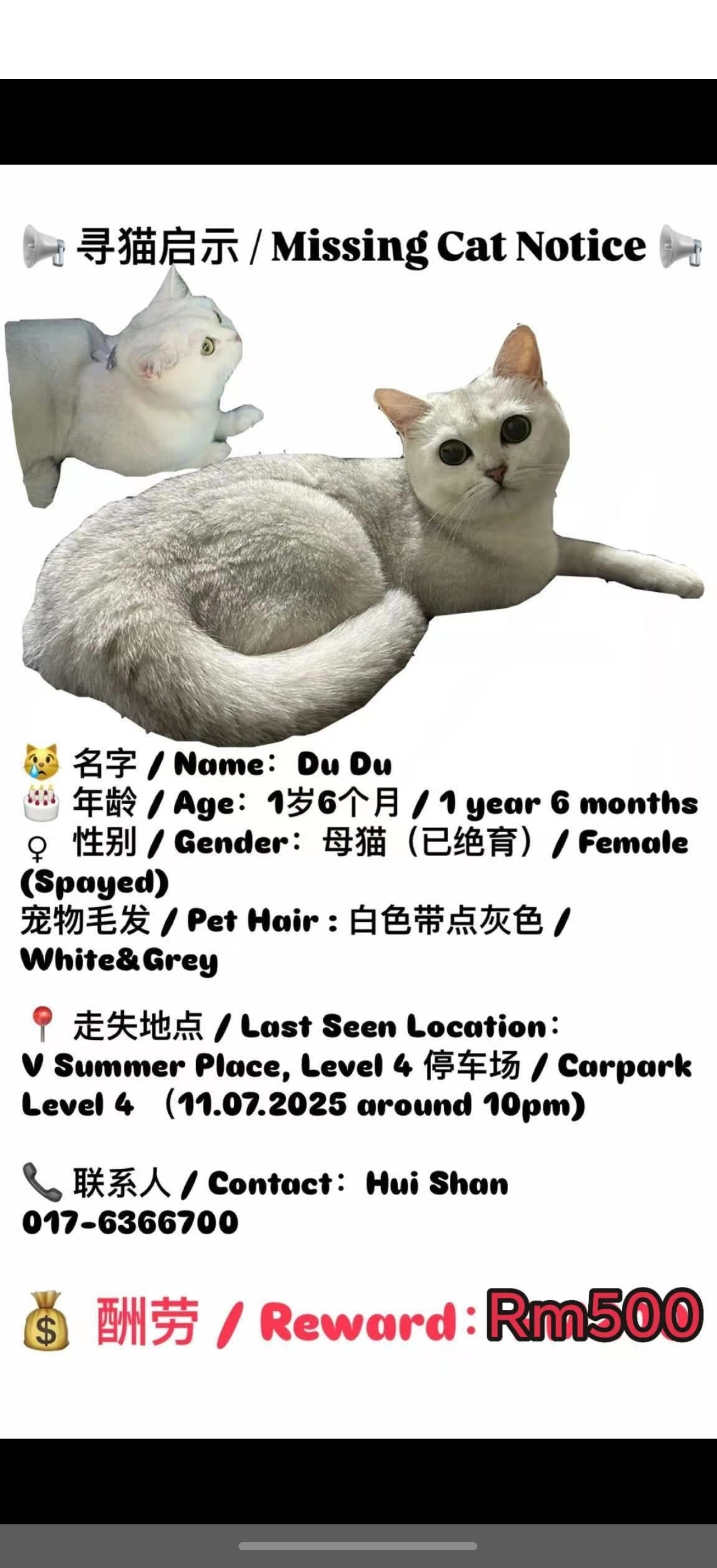 dudu - 80300, Johor Bahru