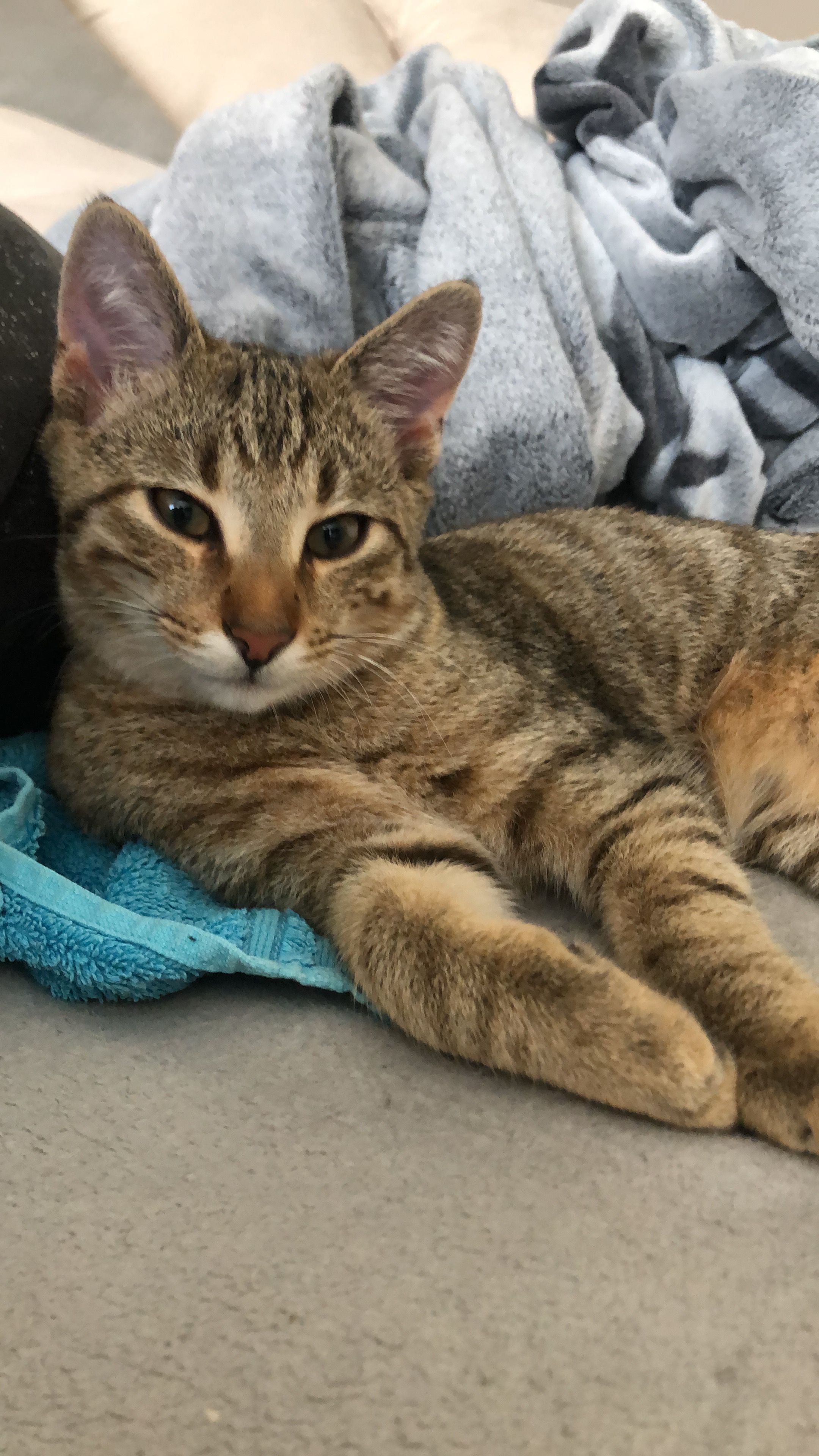 Charly - Gerd-Jansen-Platz, Kalkar