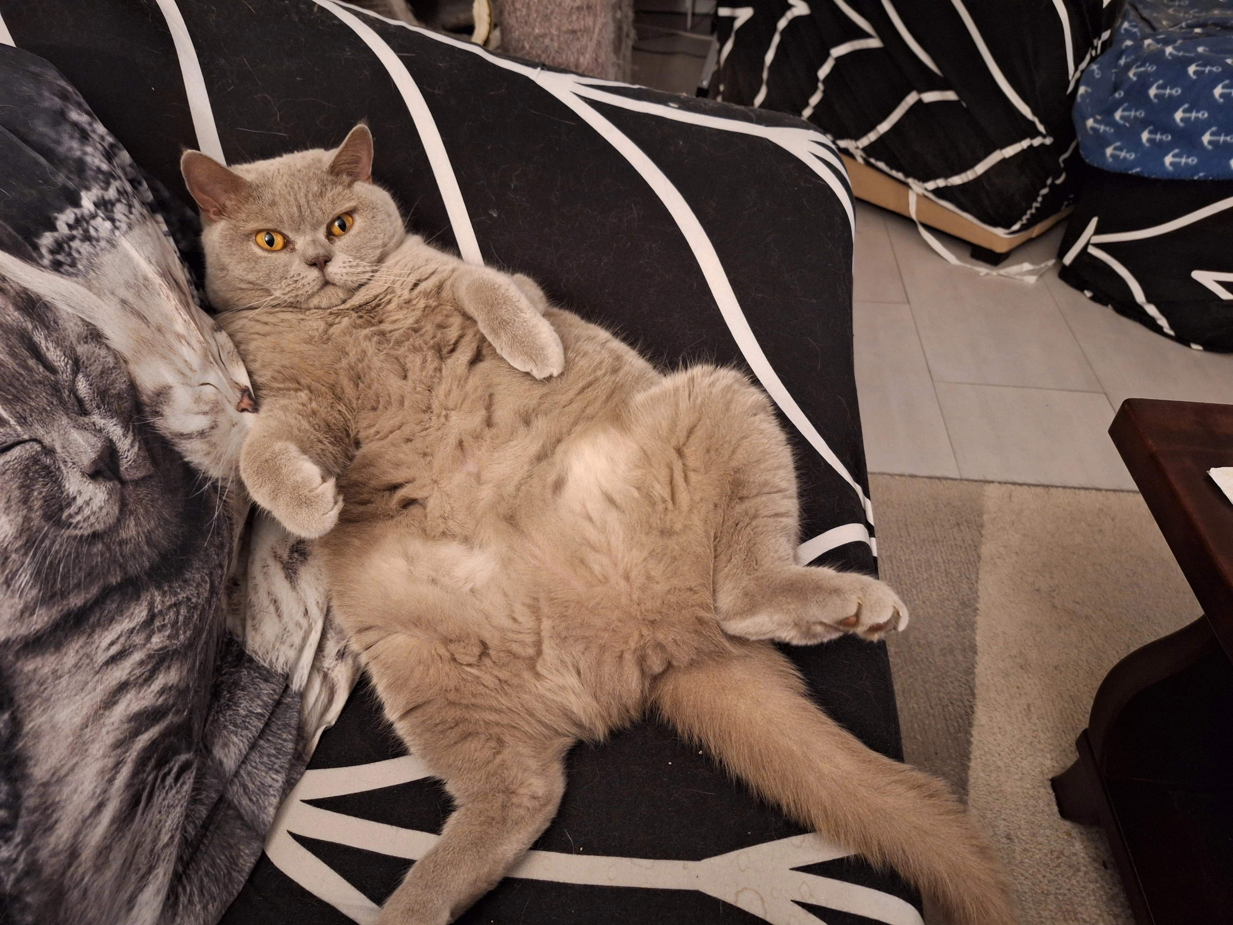 ENJOY - Distelkrog, Lübeck