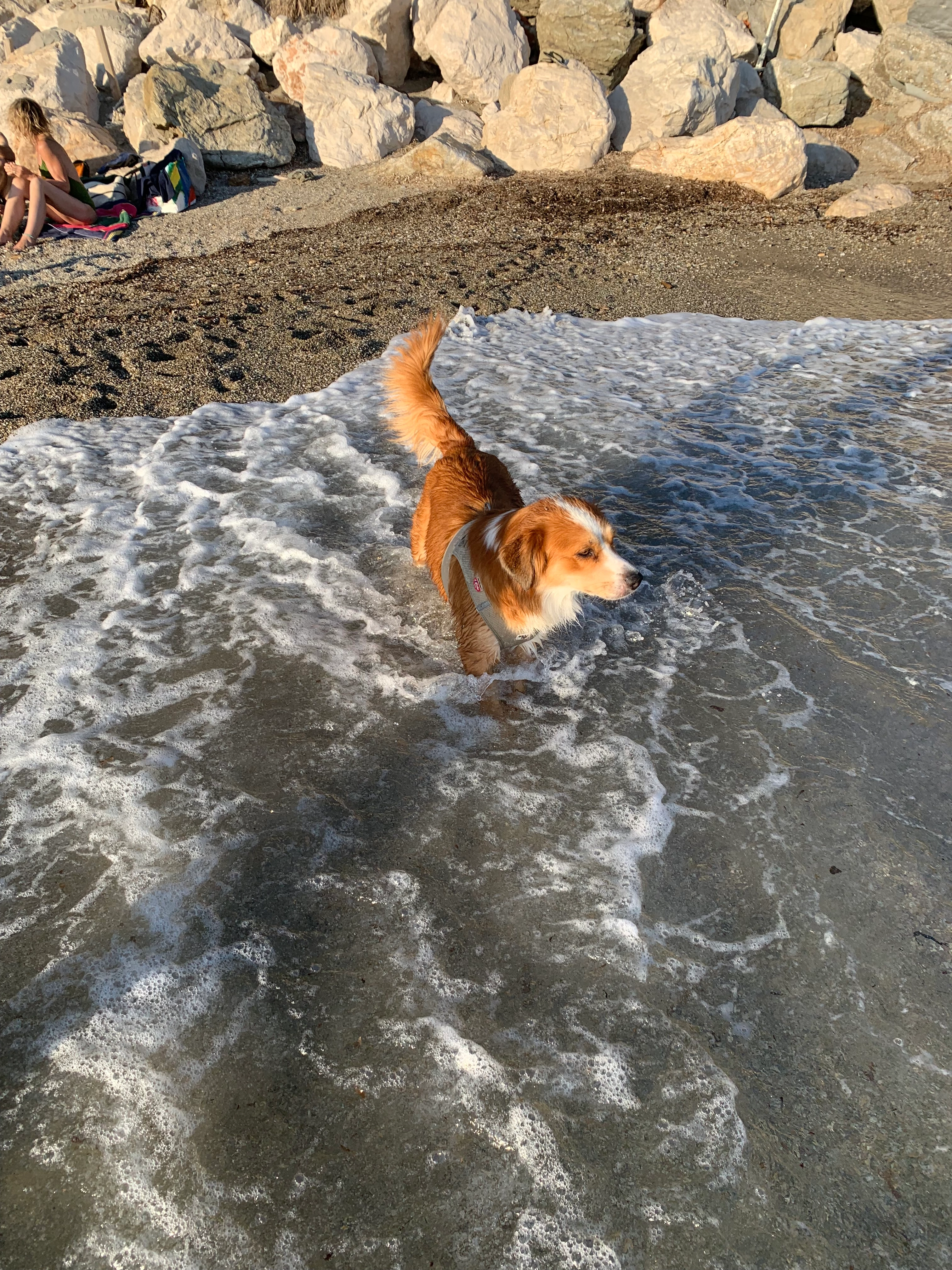 nalah  - Traverse De La Palud, Marseille