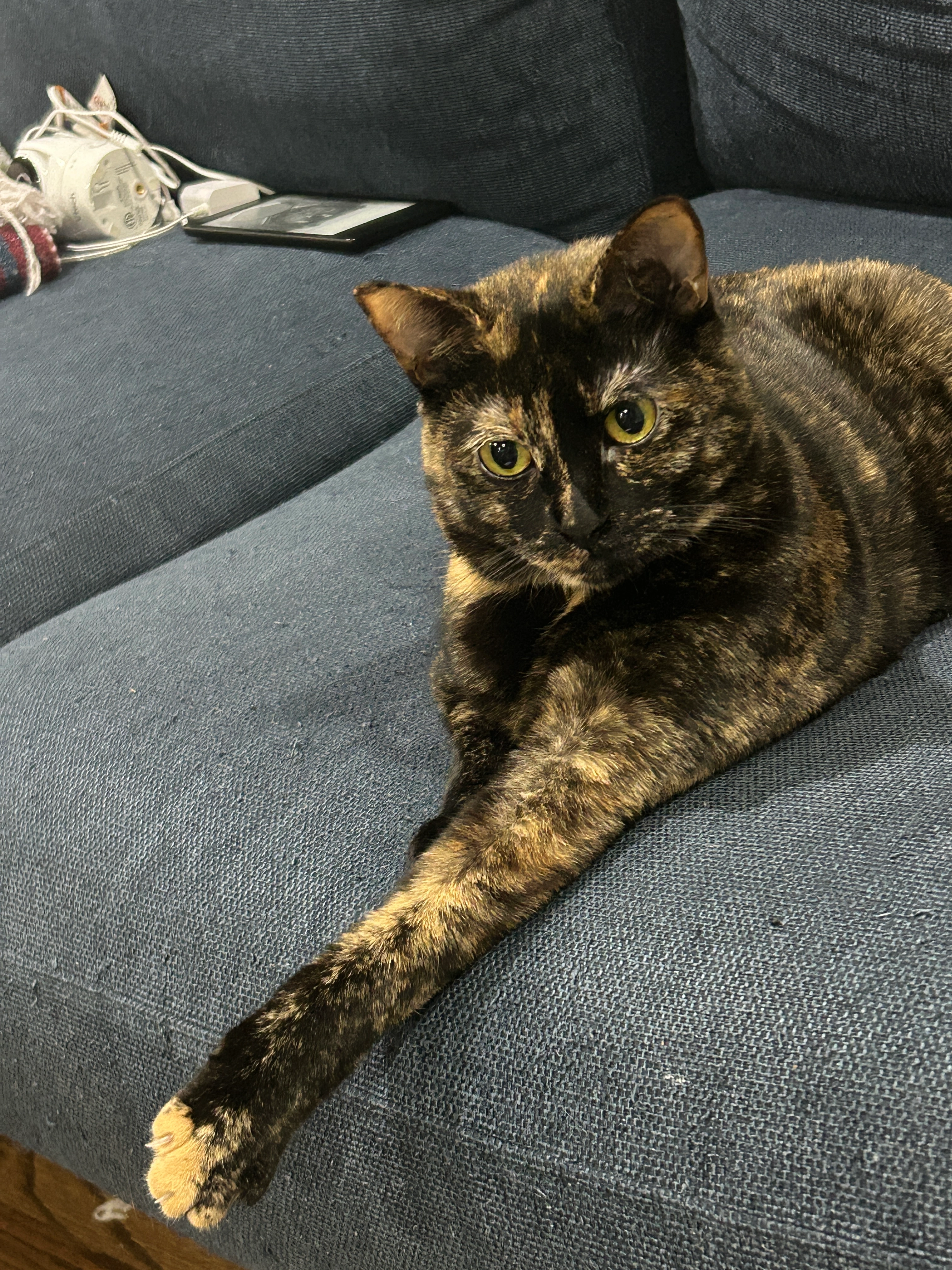 Gator - Kasernenstraße, Elsbethen