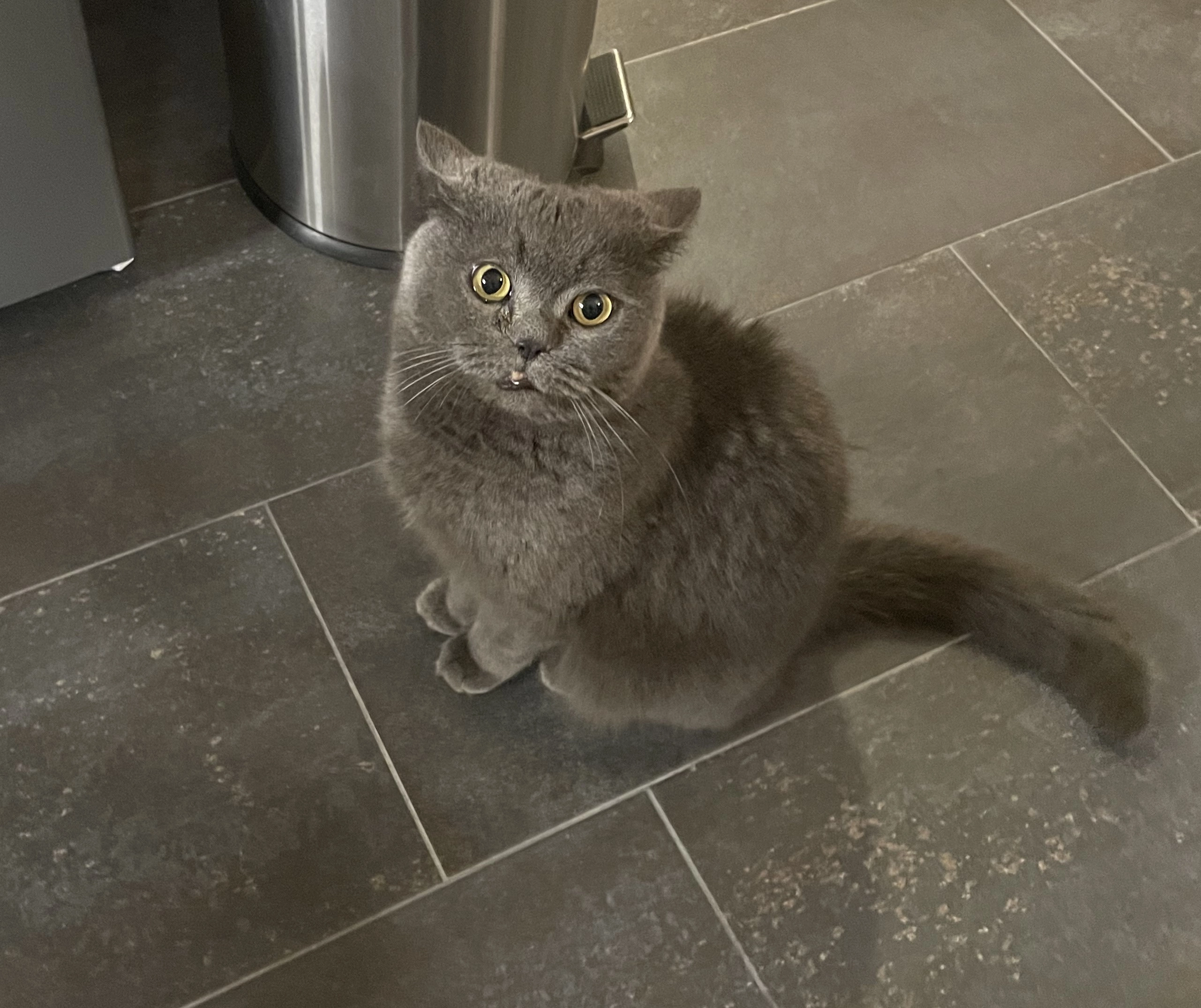 Theo - Frankenstraße 1, Birkenwerder