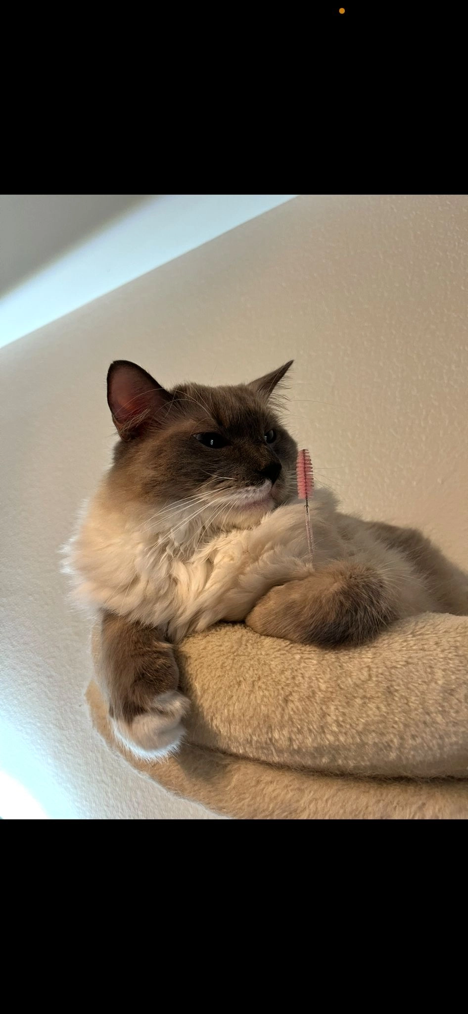 Azim - Alte Landstrasse 145, Uetikon am See