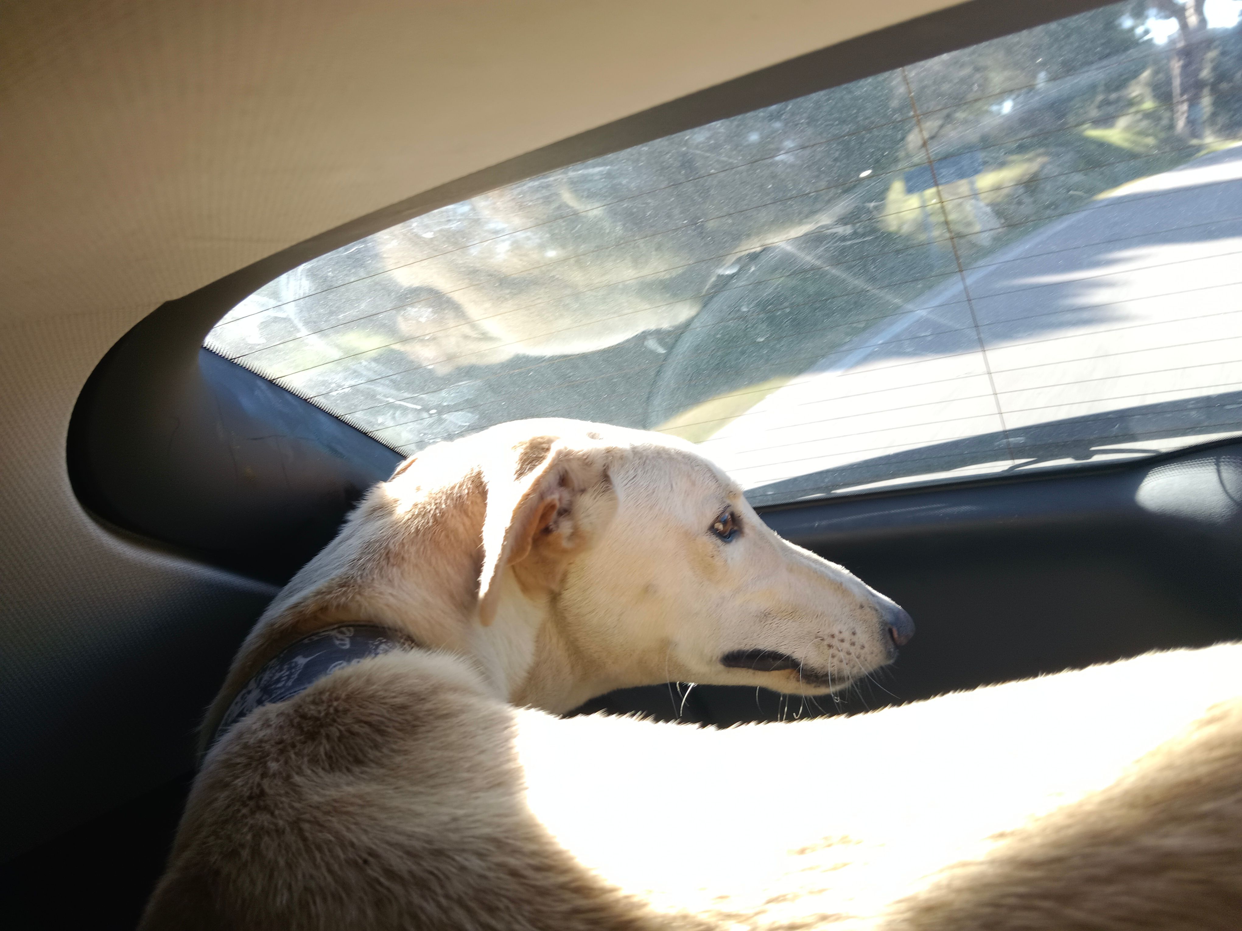 Rubio - Barrio Las Cerreas, Piélagos