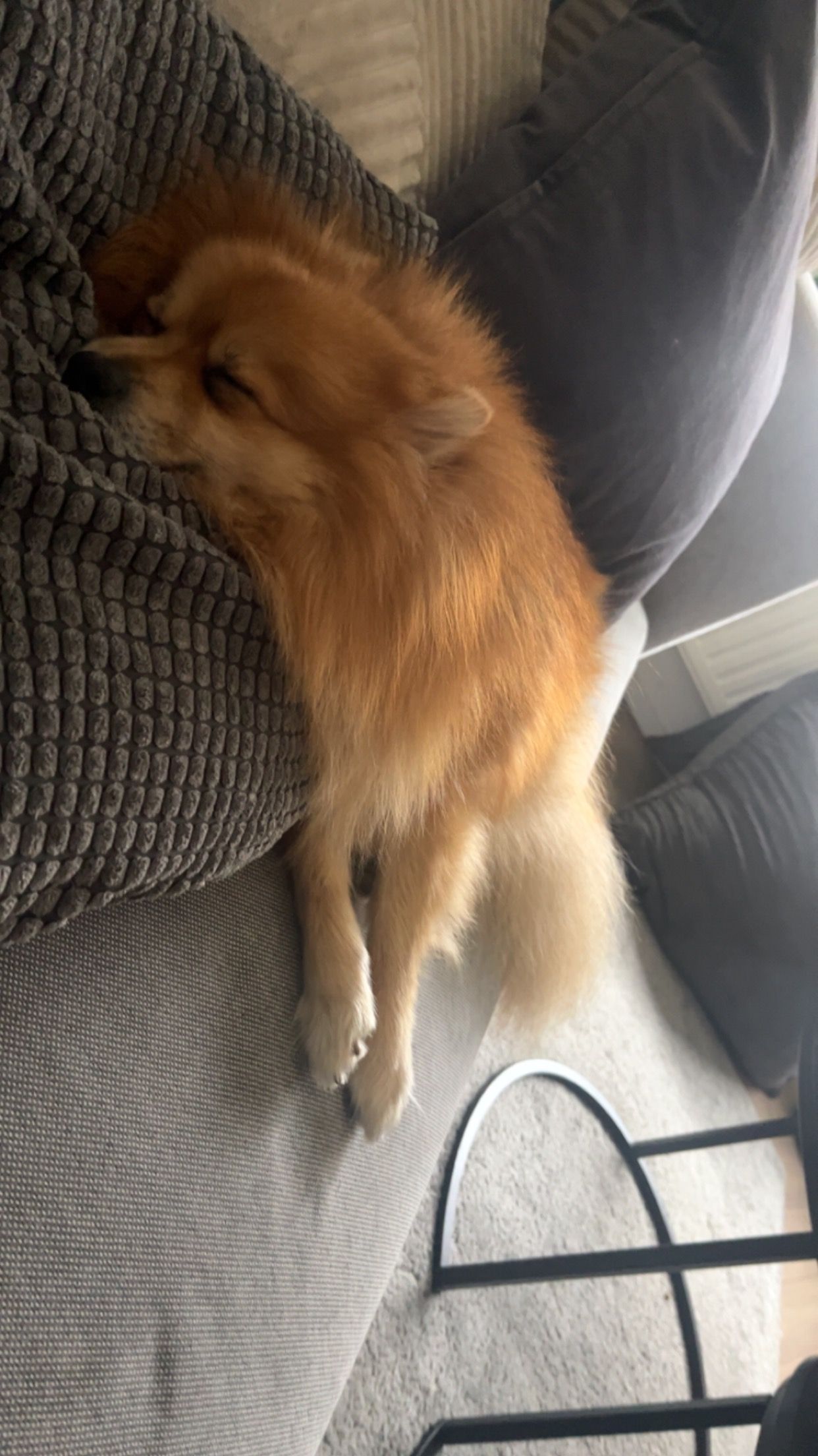 Chico - Monseigneur Lebouillestraat, Hoensbroek