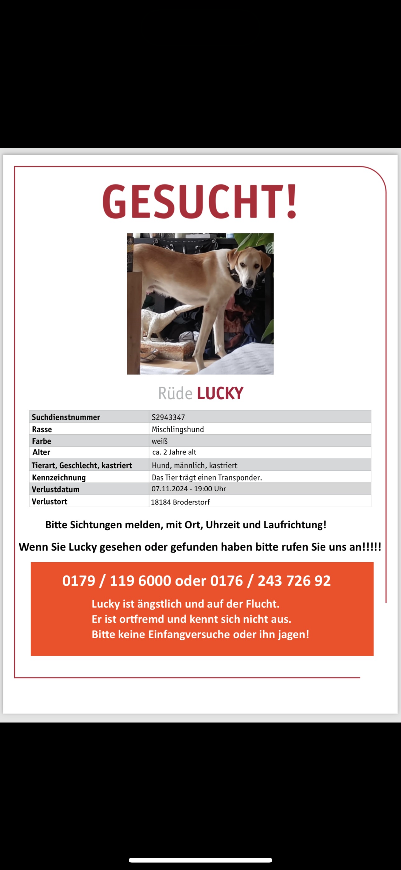 Lucky - Moorweg, Broderstorf