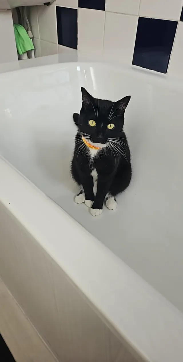 Pablo - PO12 4, Gosport