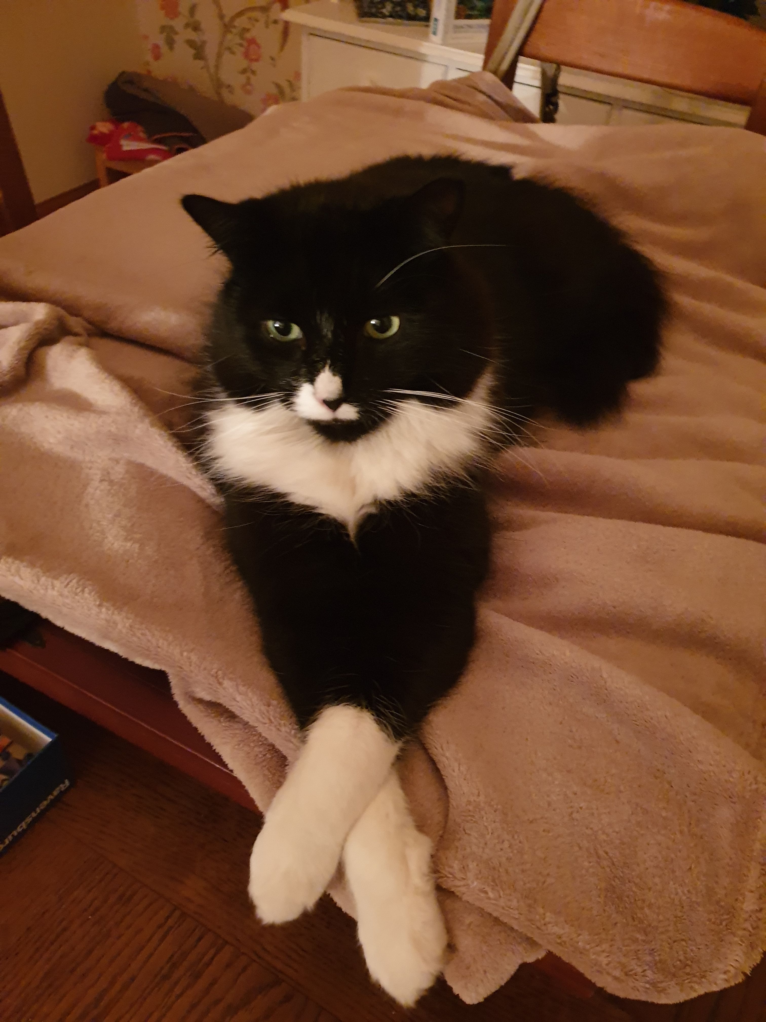 Murphy  - BS14 0, Bristol