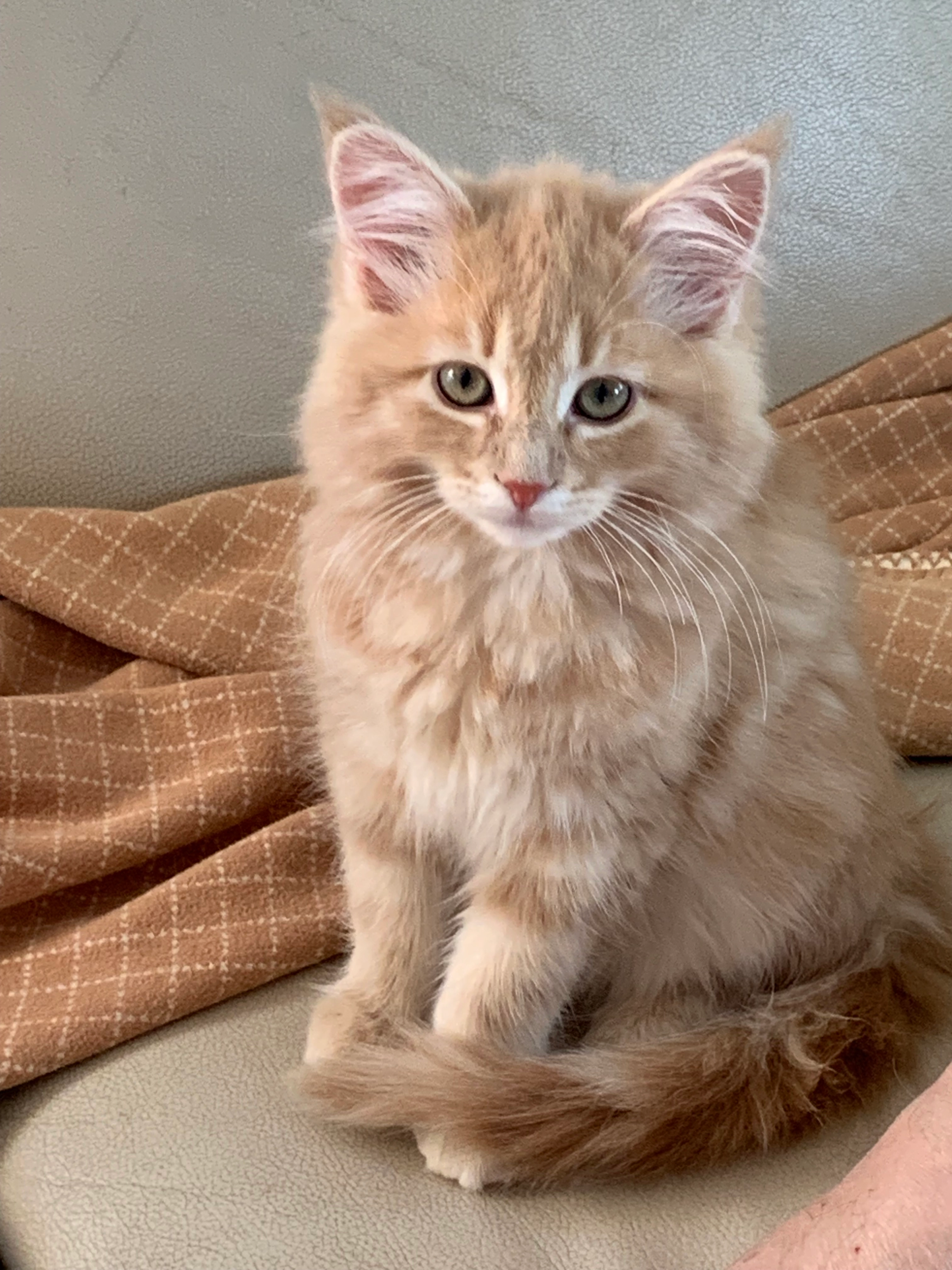 Elli - Wirthsackerweg, Starnberg