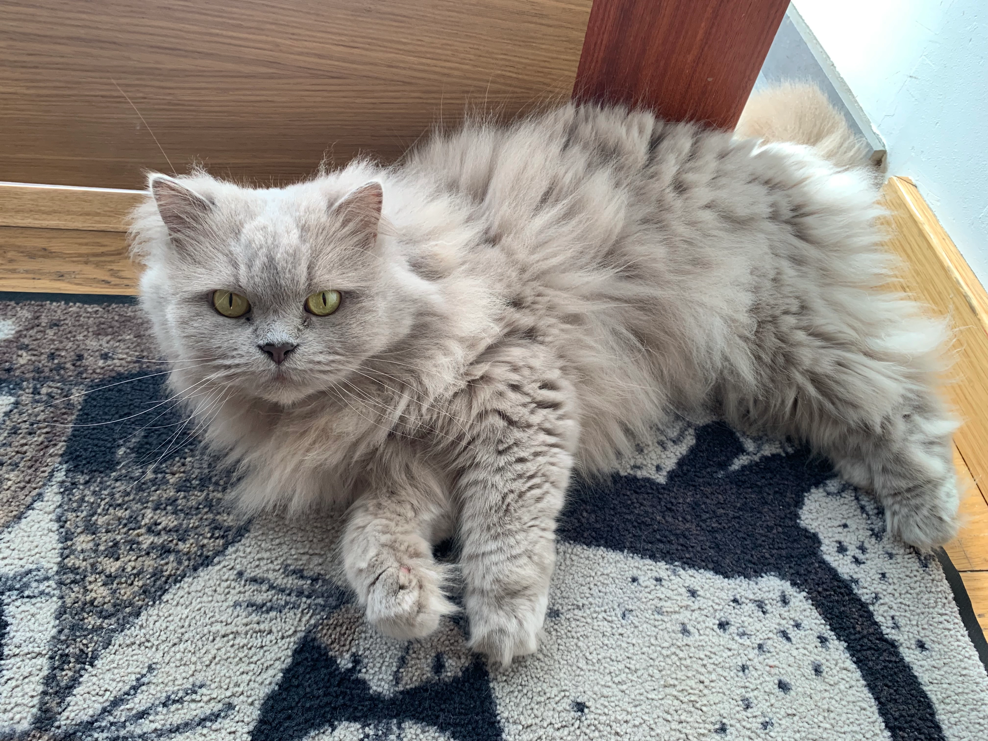 Lilas - N571, Châtelet