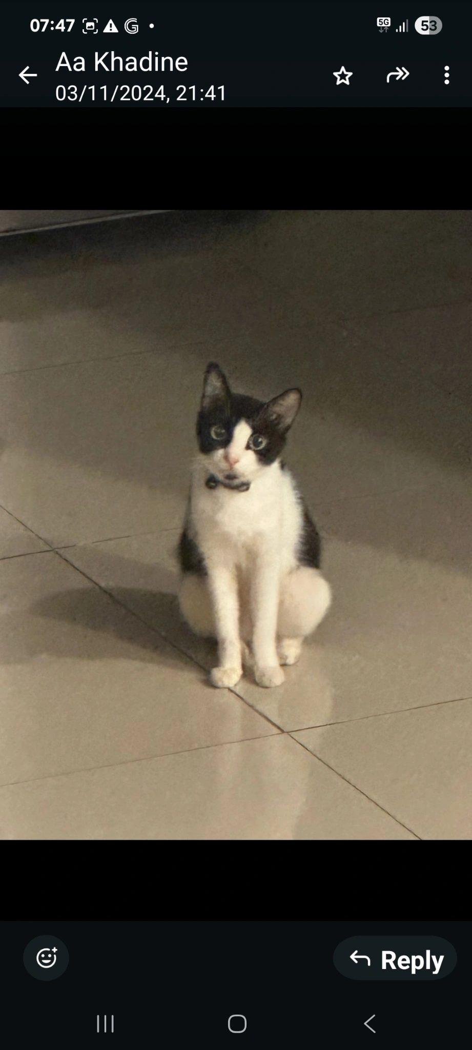 AJIM - Jalan BBN 9/2D, Nilai