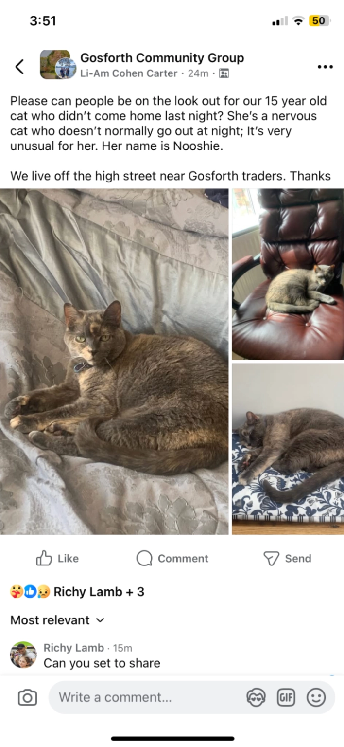 Nooshie - Woodbine Avenue, Newcastle Upon Tyne