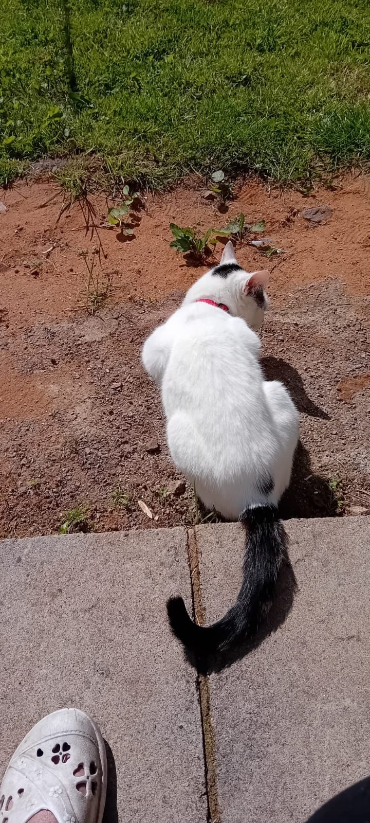 Sienna  - NP44 4, Fairwater