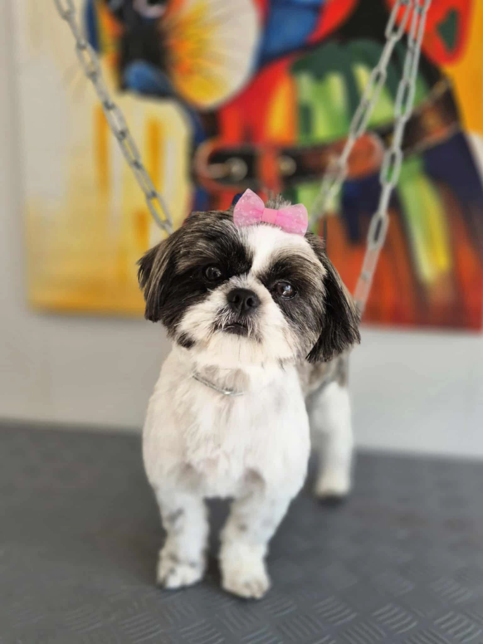 Umana - Route des Églisottes, Les Églisottes-et-Chalaures