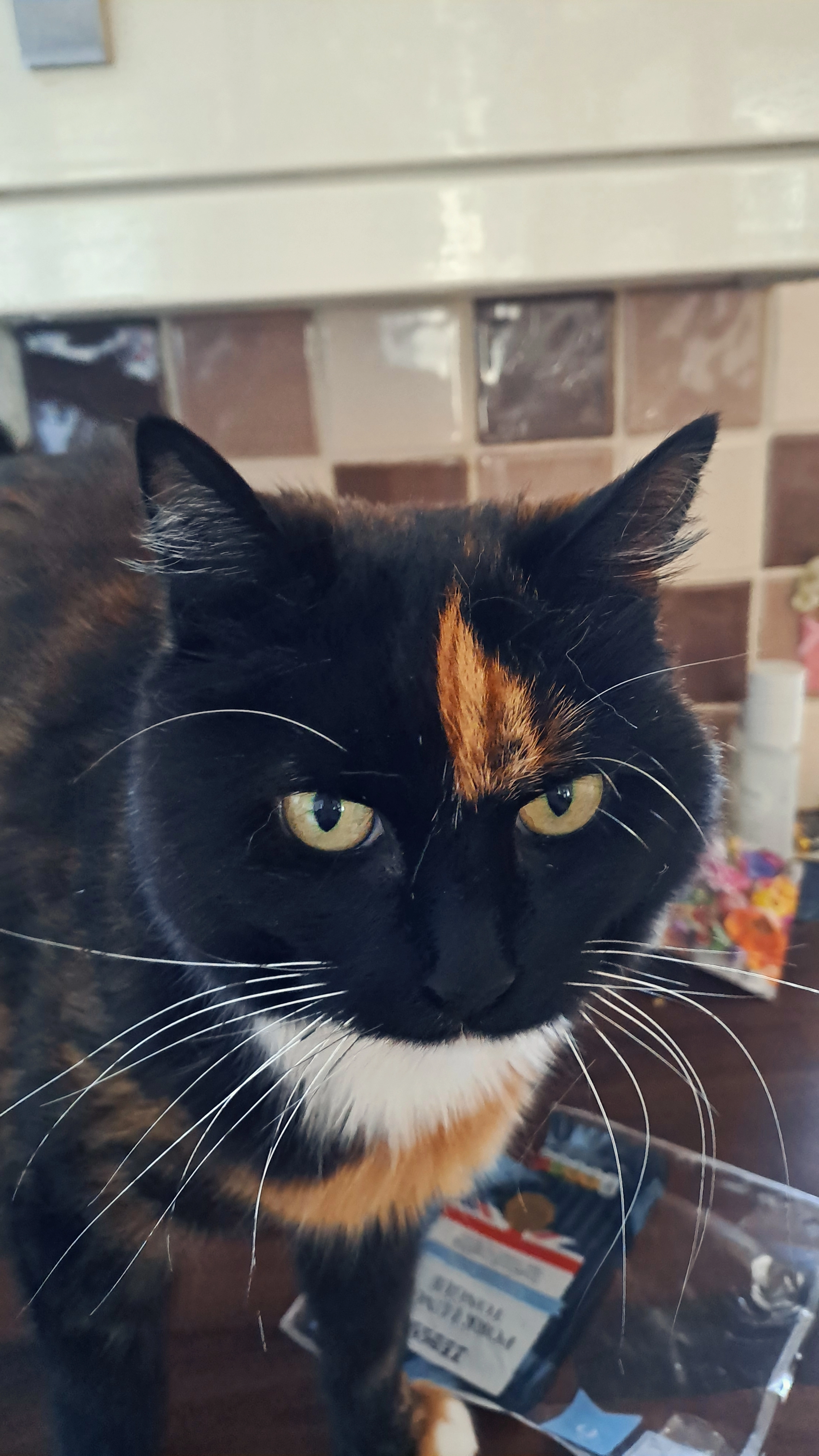 Marble  - 34 Acorn Mews, Blackpool