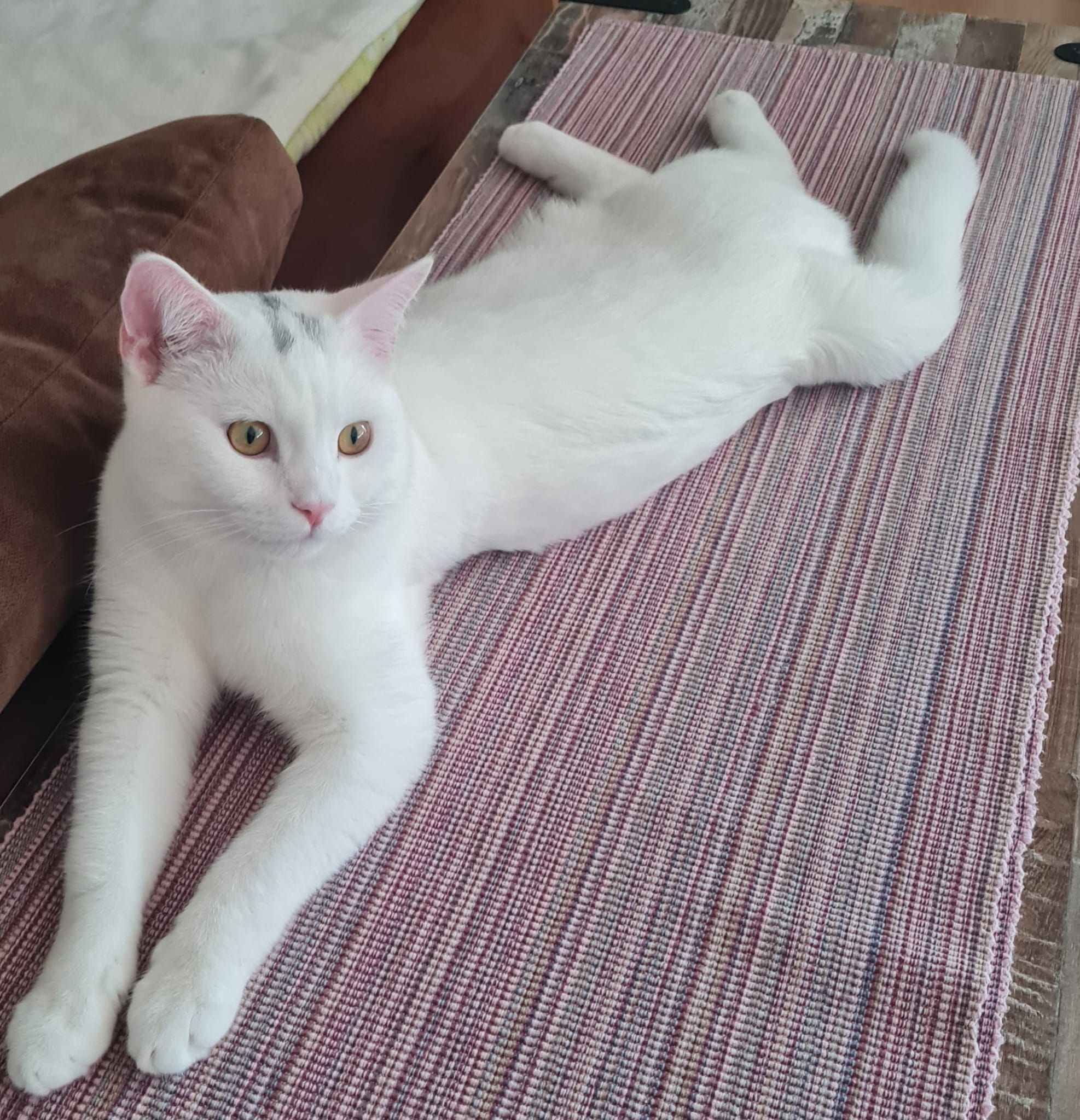 Milo - Fritz-Born-Straße, Neutorstraße , Usingen